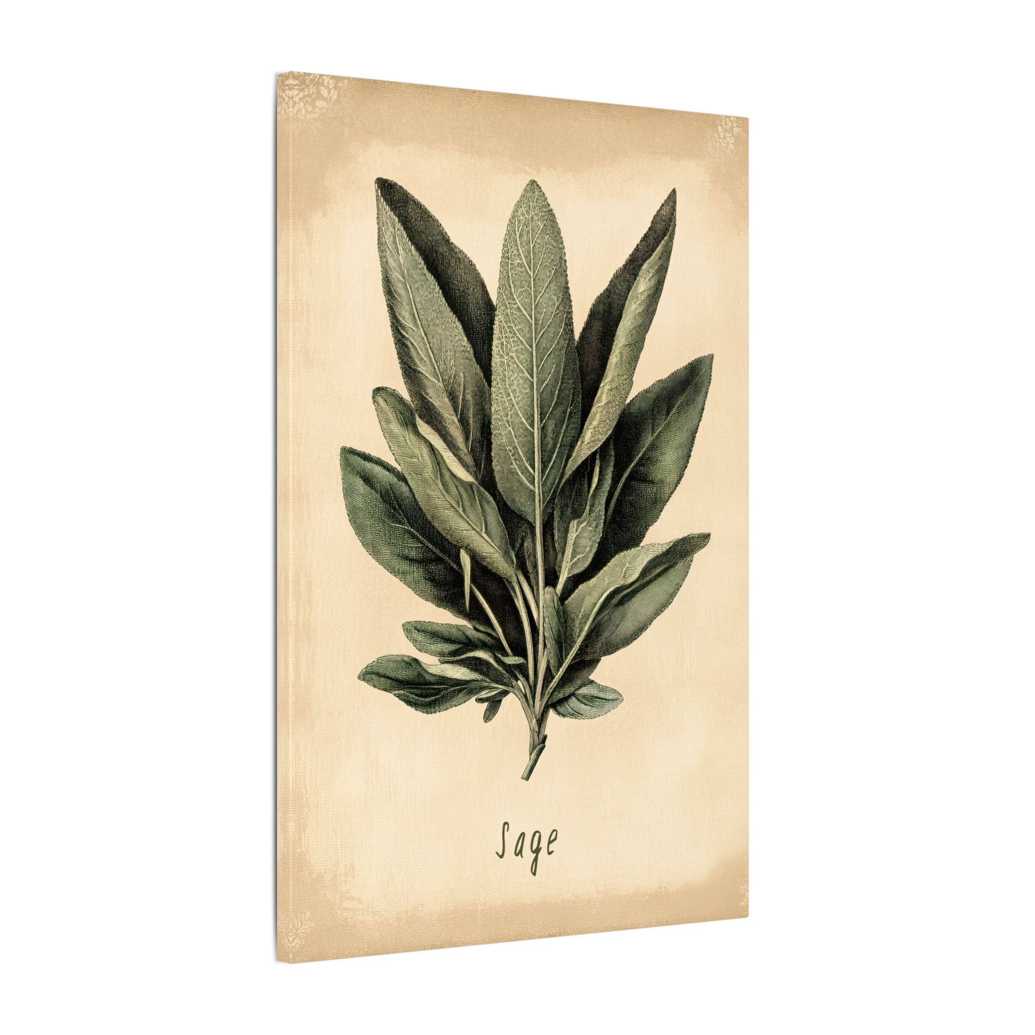.75" Matte Canvas - Botanical Sage Study