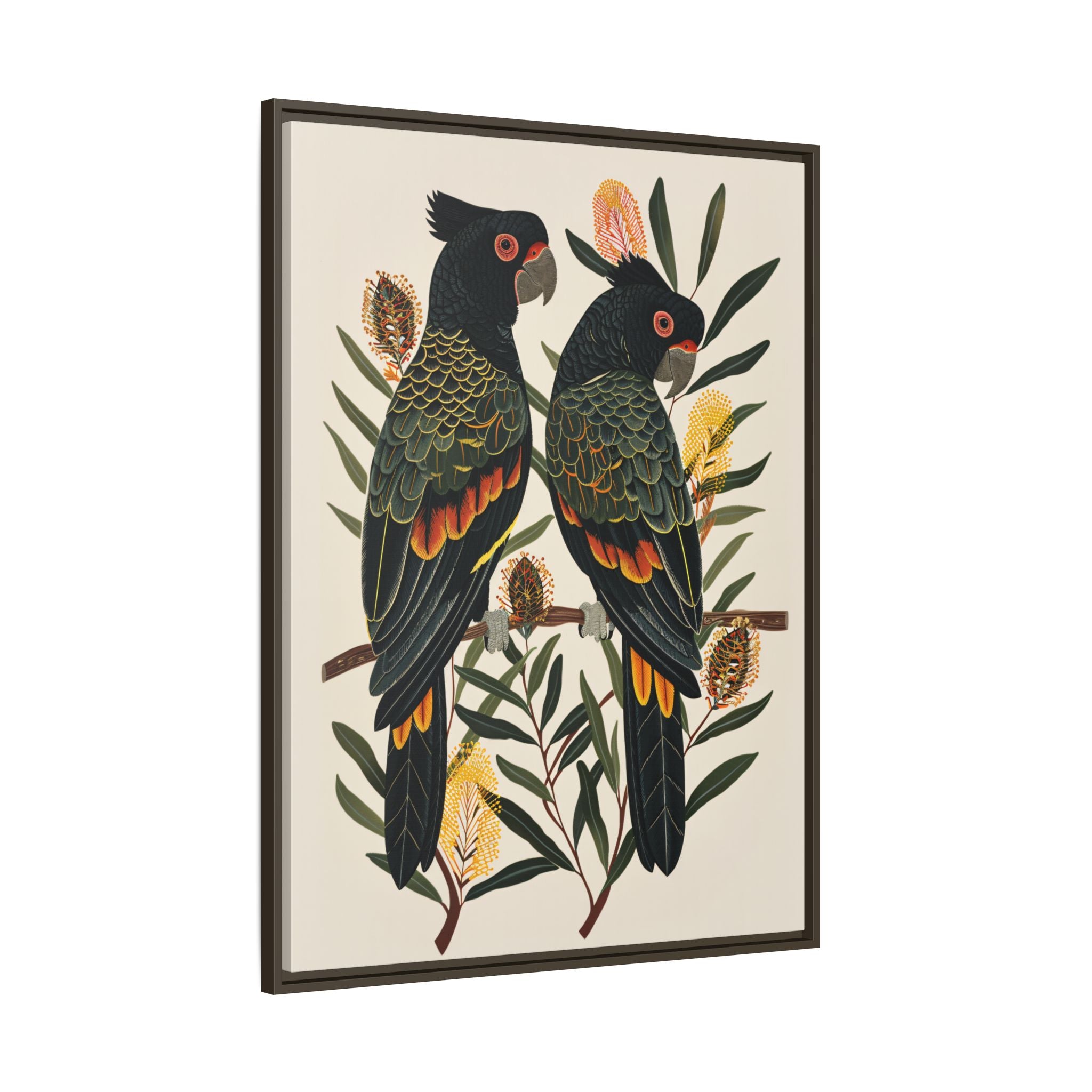 Framed Canvas - Black Cockatoos Among Banksia