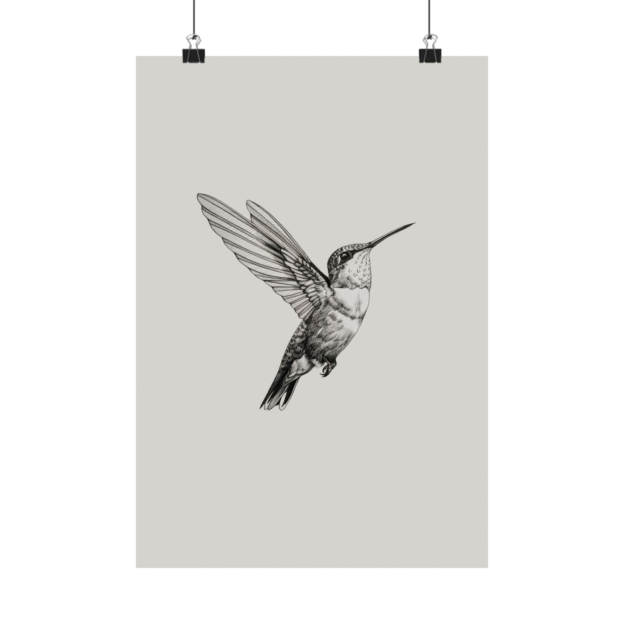 Flying Hummingbird Line Study