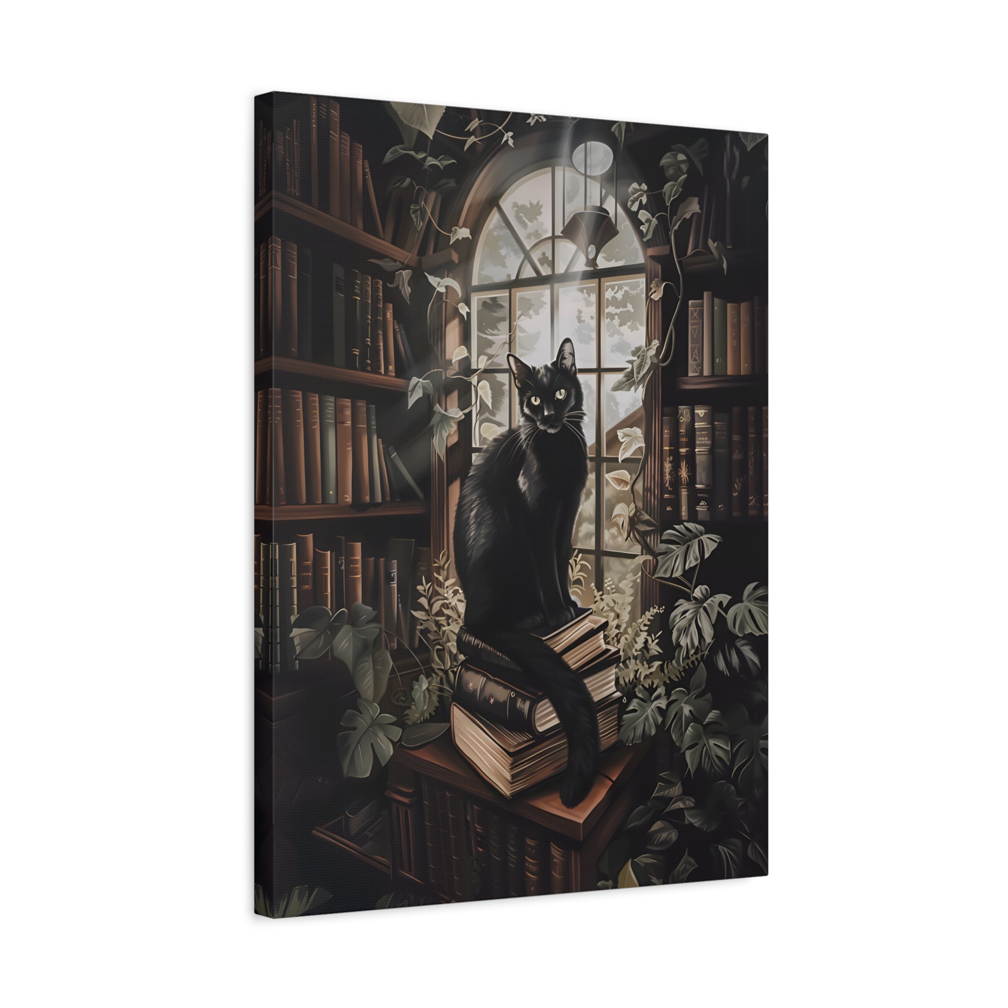 1.25" Matte Canvas - Book Hoarder Feline Gaze