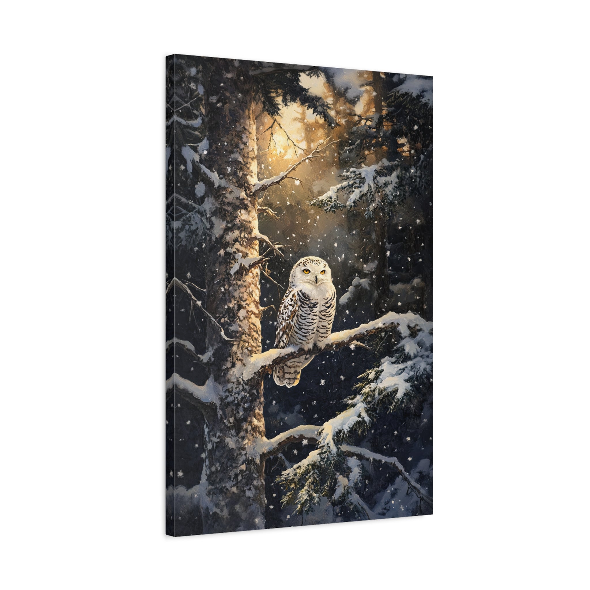 1.25" Matte Canvas - Silent Gaze Snow Owl