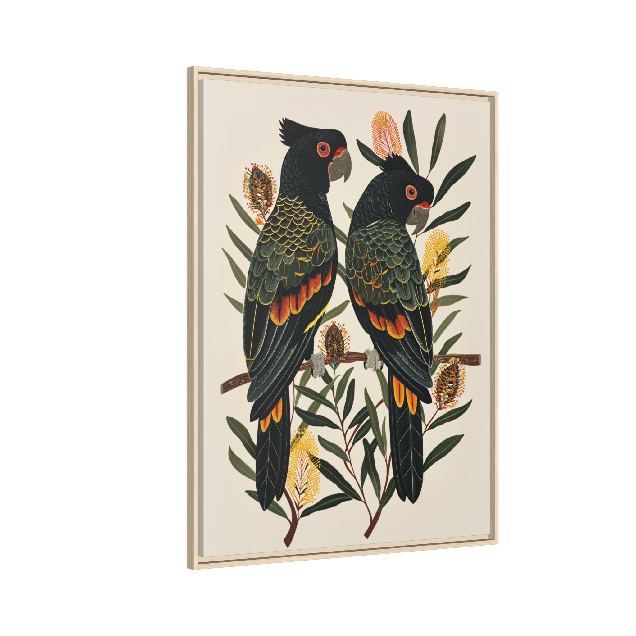 Framed Canvas - Black Cockatoos Among Banksia