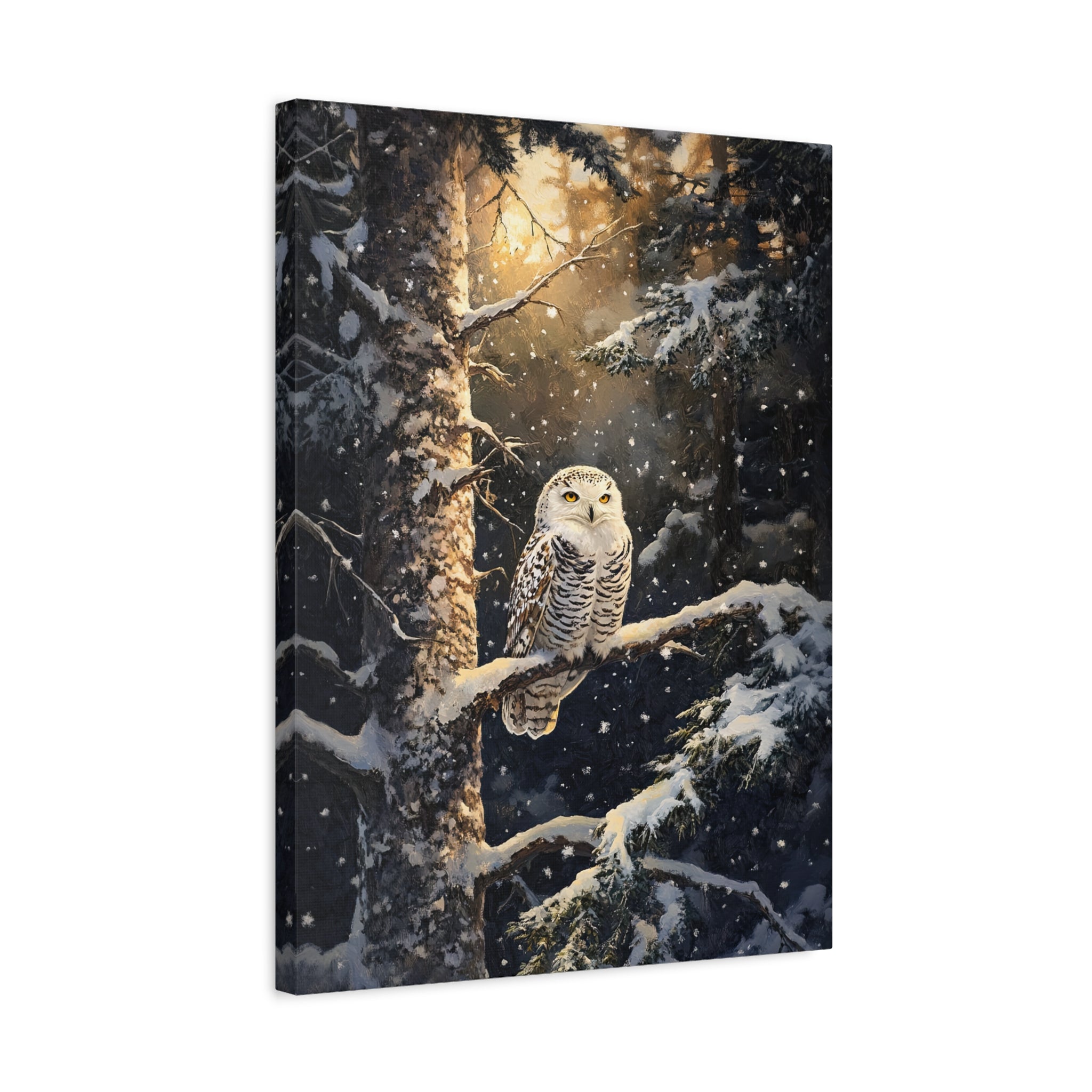 1.25" Matte Canvas - Silent Gaze Snow Owl