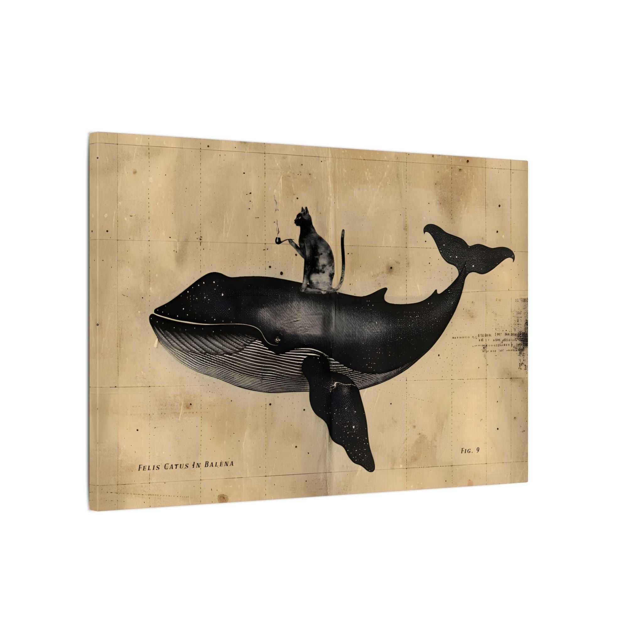.75" Matte Canvas - Cat Rides Whale Theory