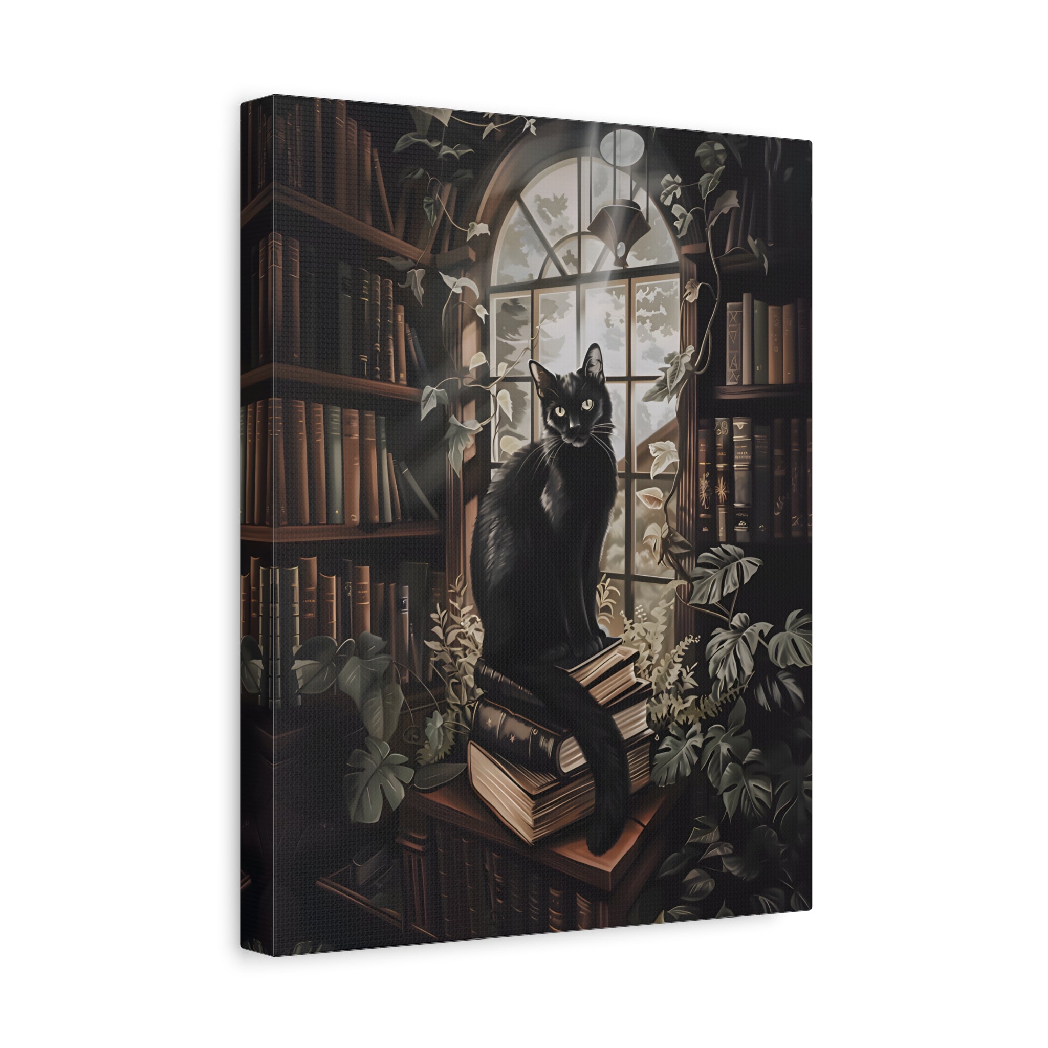 1.25" Matte Canvas - Book Hoarder Feline Gaze