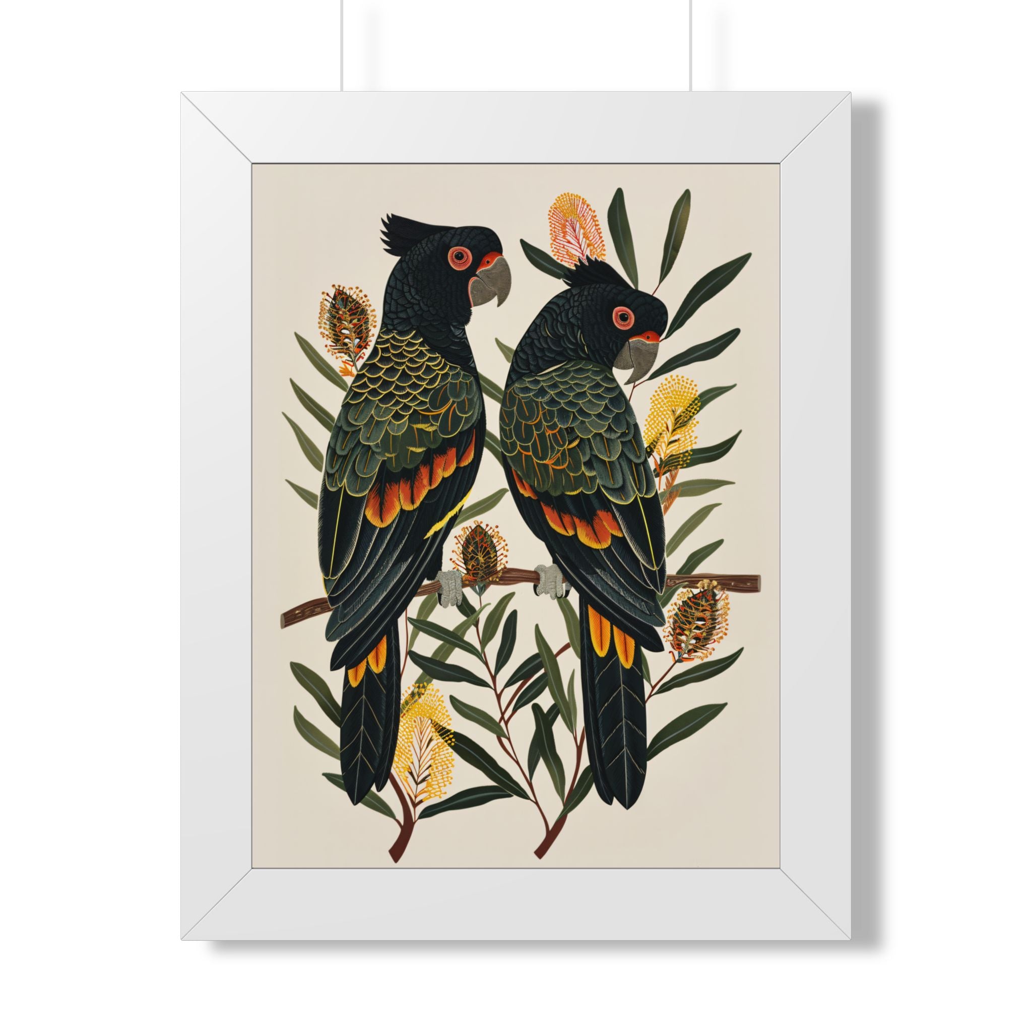 Framed Paper Print - Black Cockatoos Among Banksia