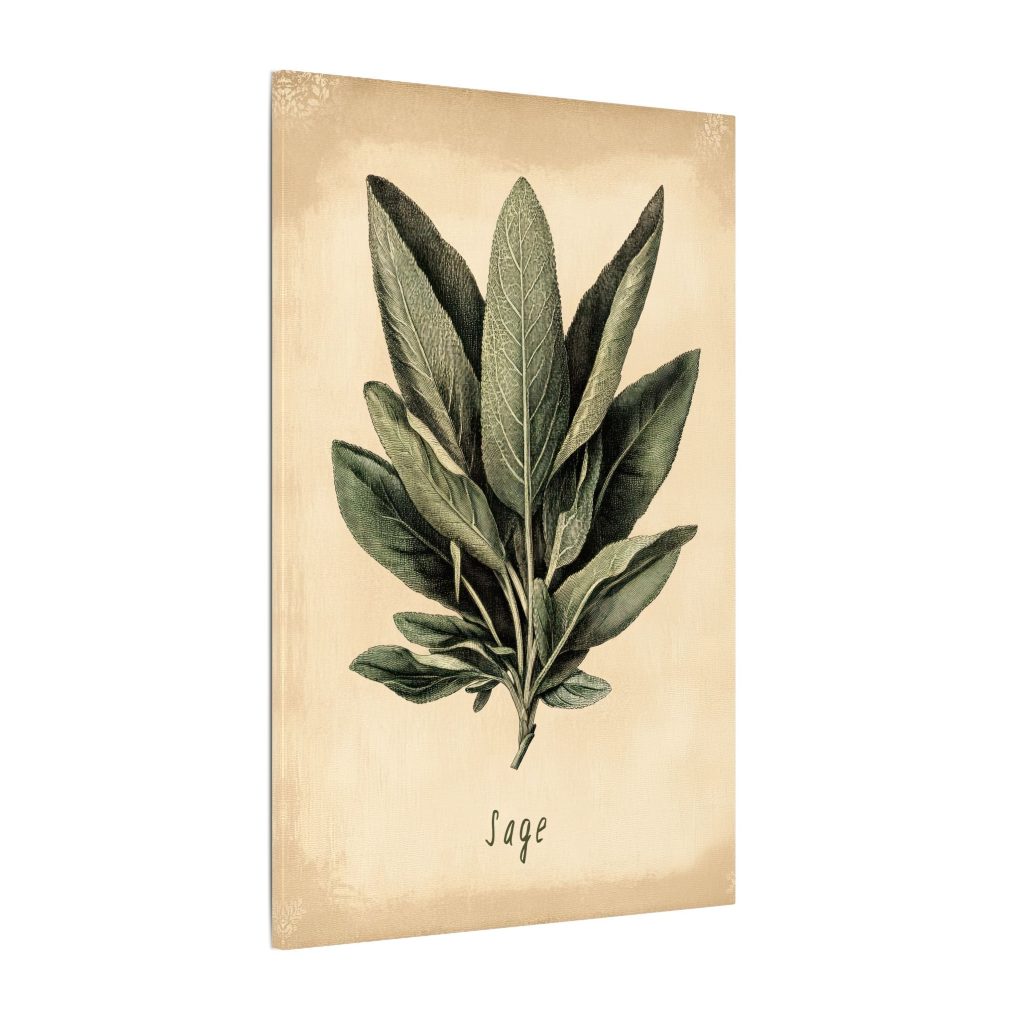 .75" Matte Canvas - Botanical Sage Study