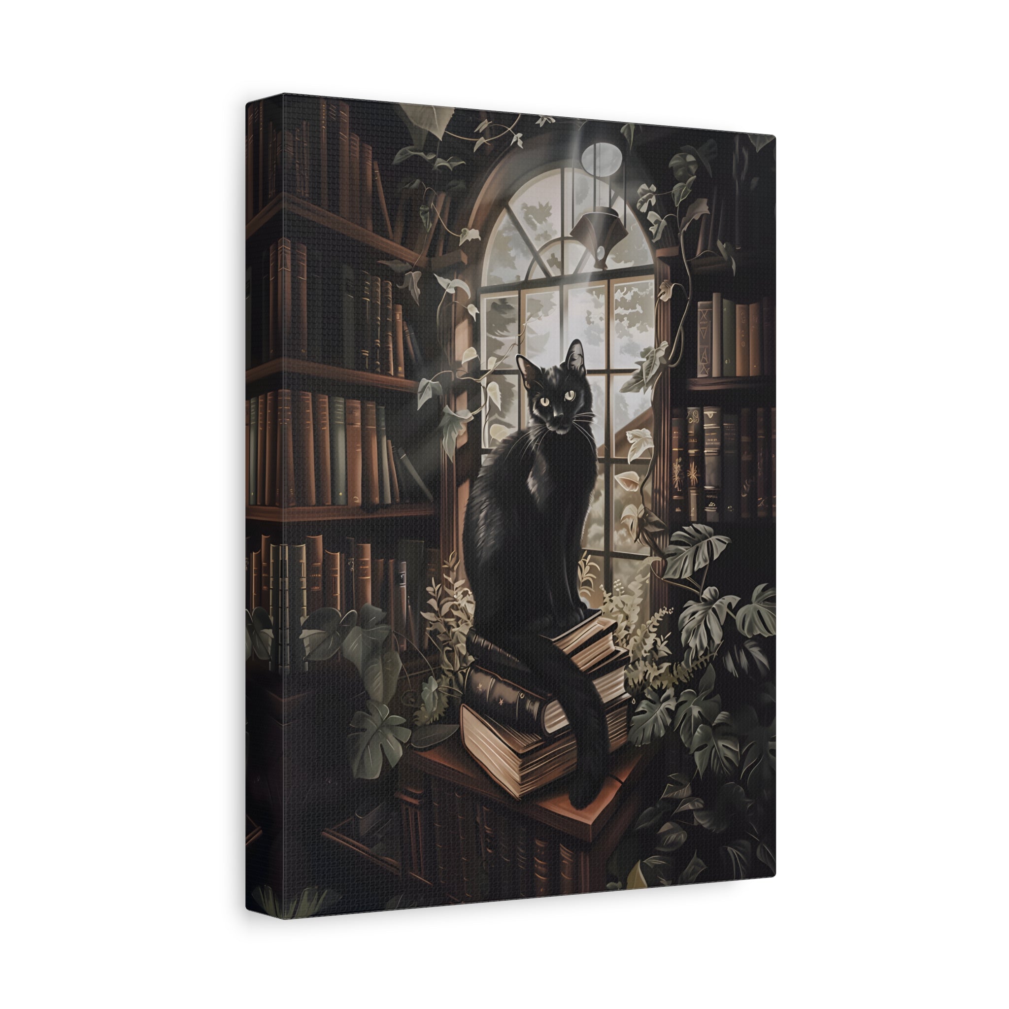 1.25" Matte Canvas - Book Hoarder Feline Gaze