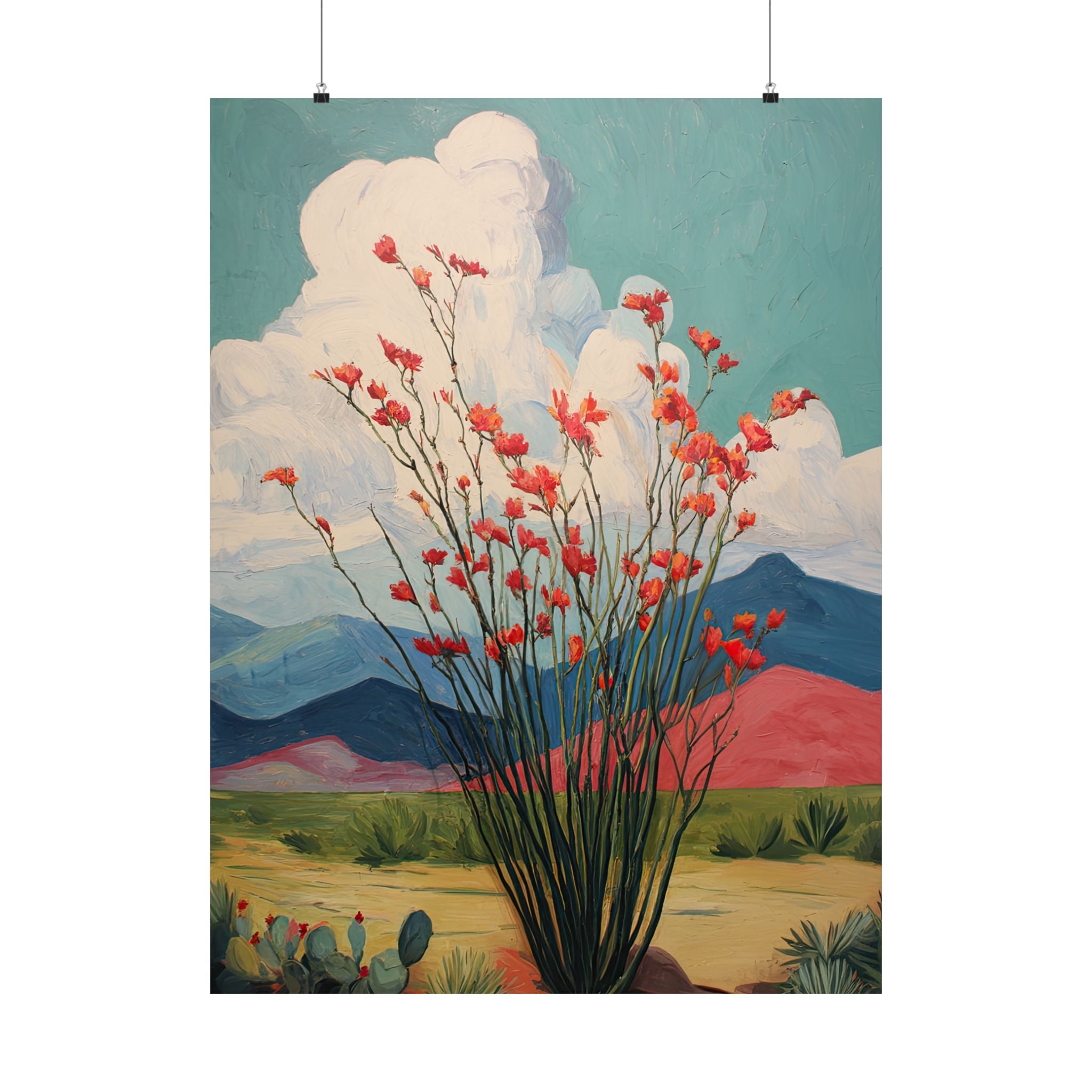 Ocotillo Cactus Desert Bloom