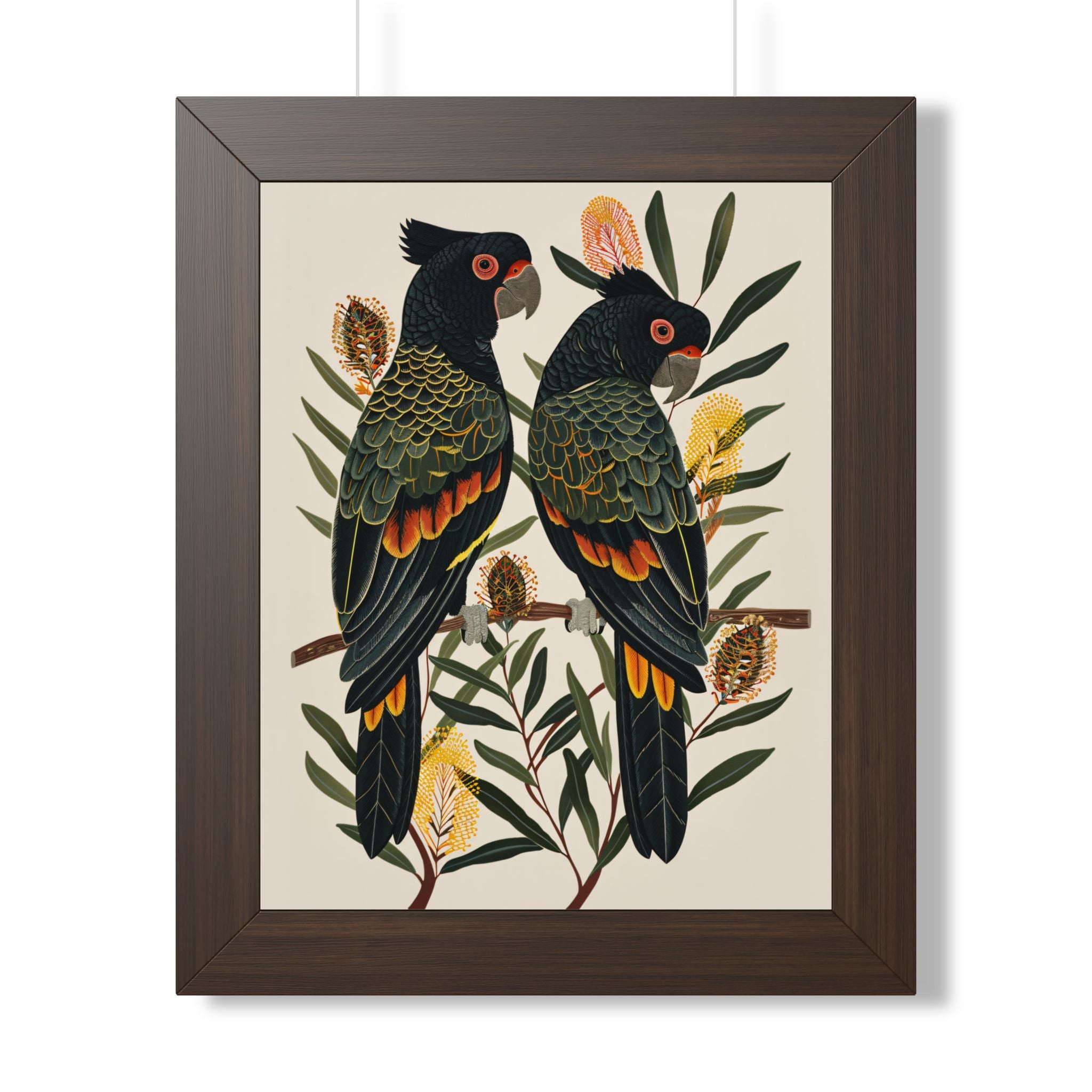 Framed Paper Print - Black Cockatoos Among Banksia