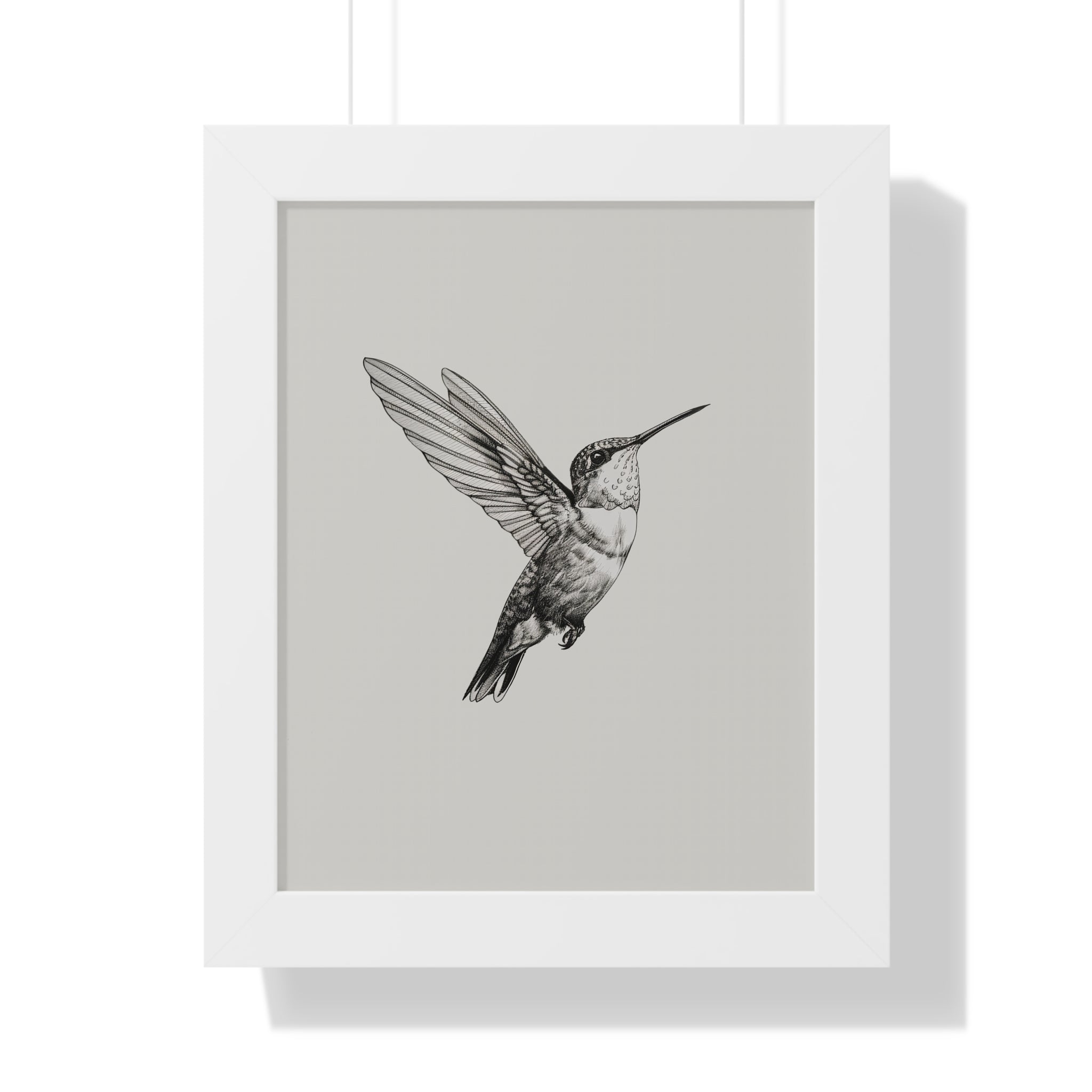Framed Paper Print - Flying Hummingbird Line Study