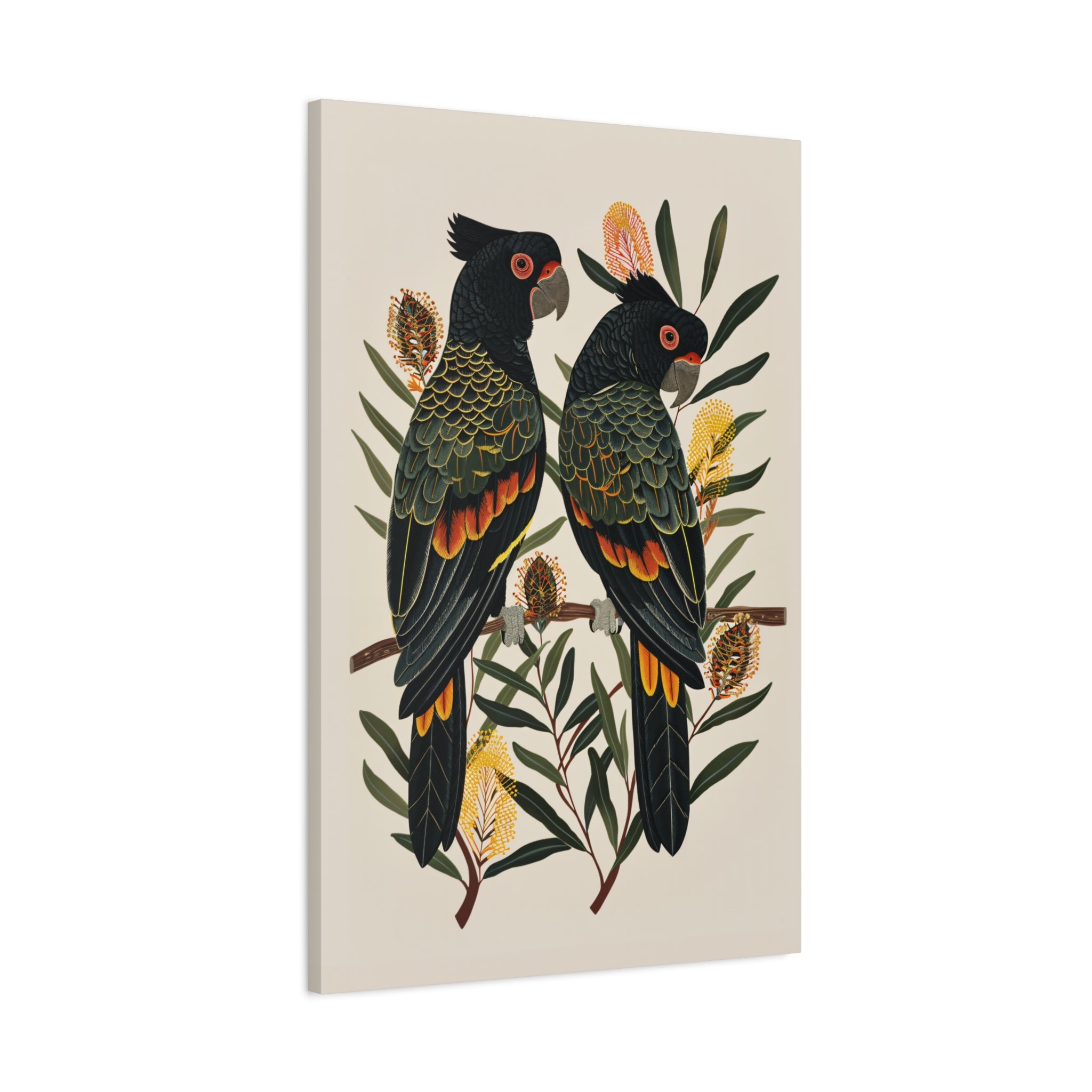 1.25" Matte Canvas - Black Cockatoos Among Banksia