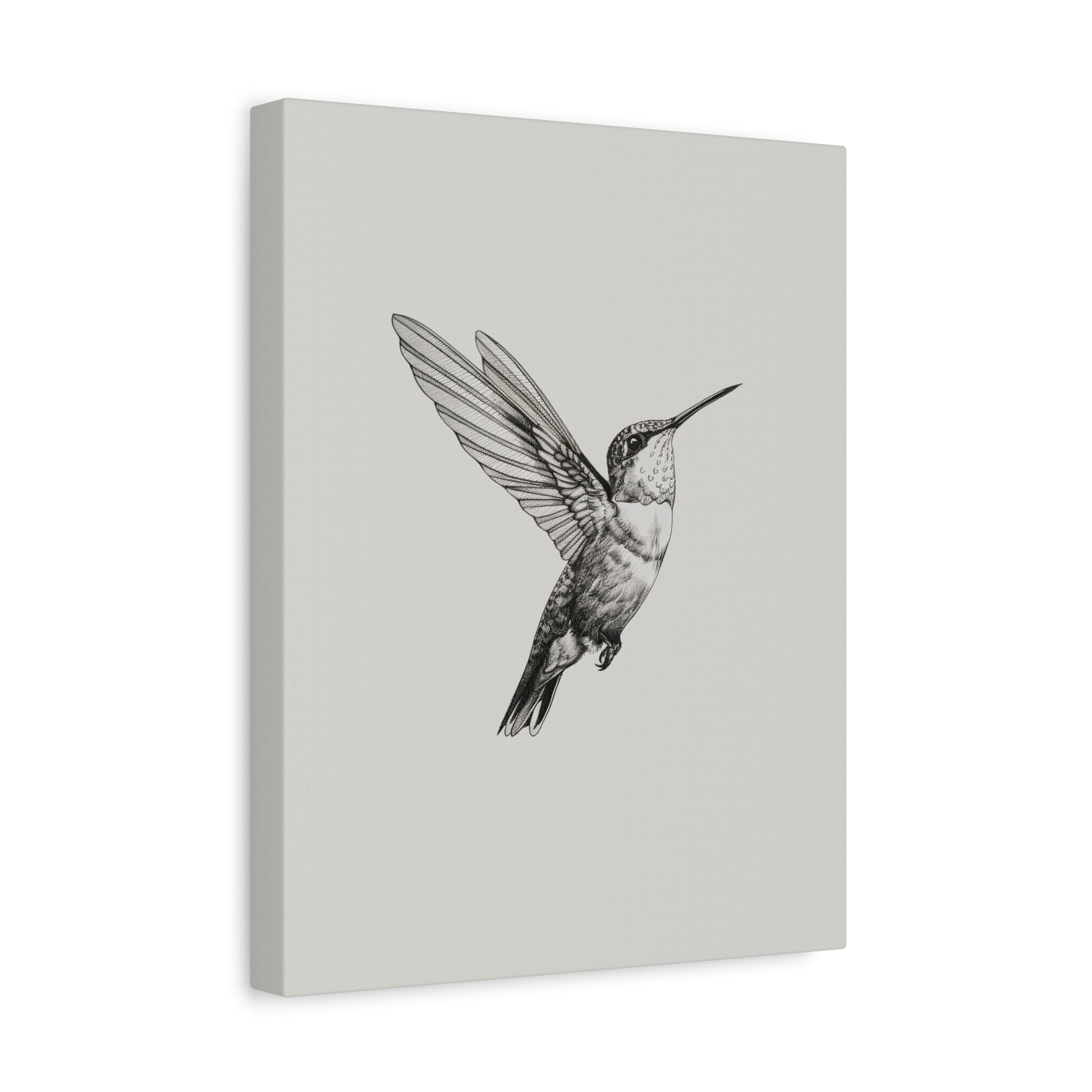 1.25" Matte Canvas - Flying Hummingbird Line Study
