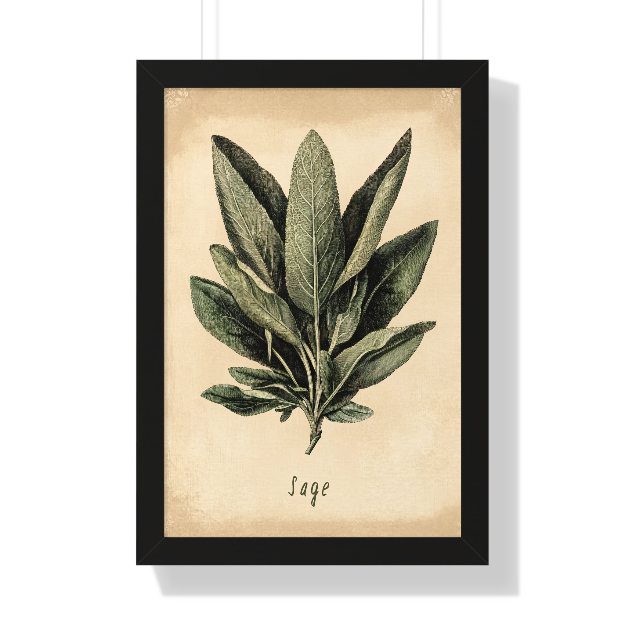 Framed Paper Print - Botanical Sage Study
