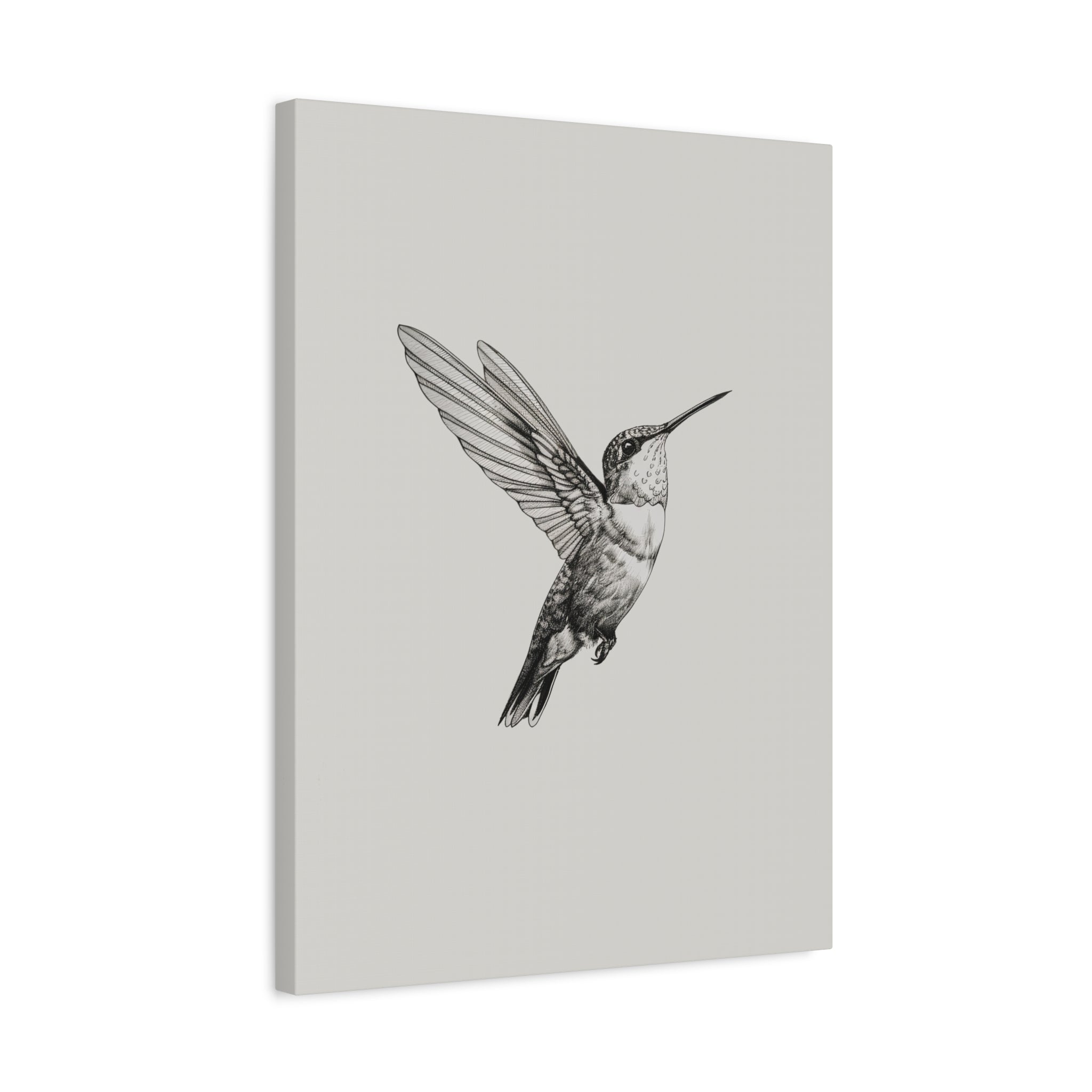 1.25" Matte Canvas - Flying Hummingbird Line Study