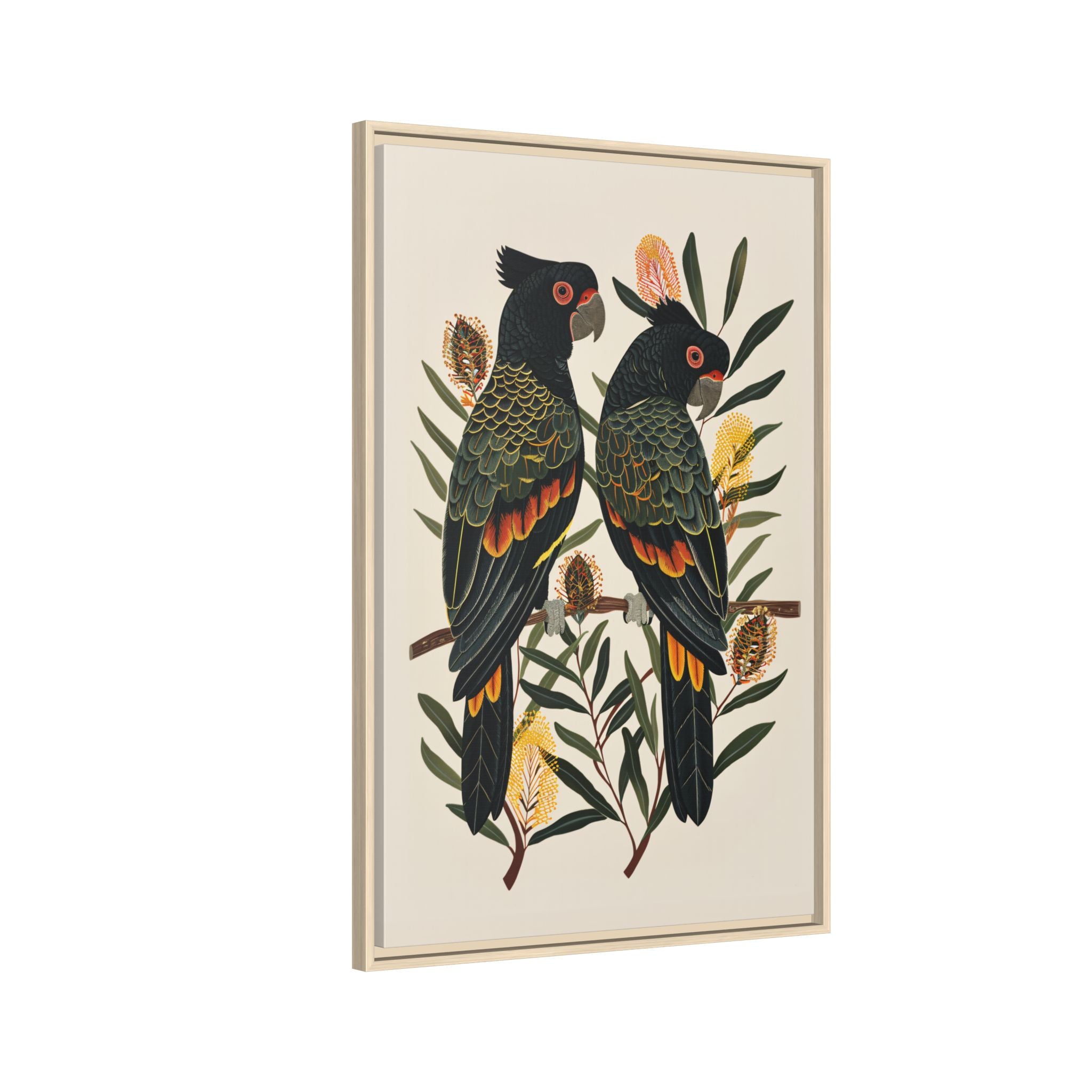 Framed Canvas - Black Cockatoos Among Banksia