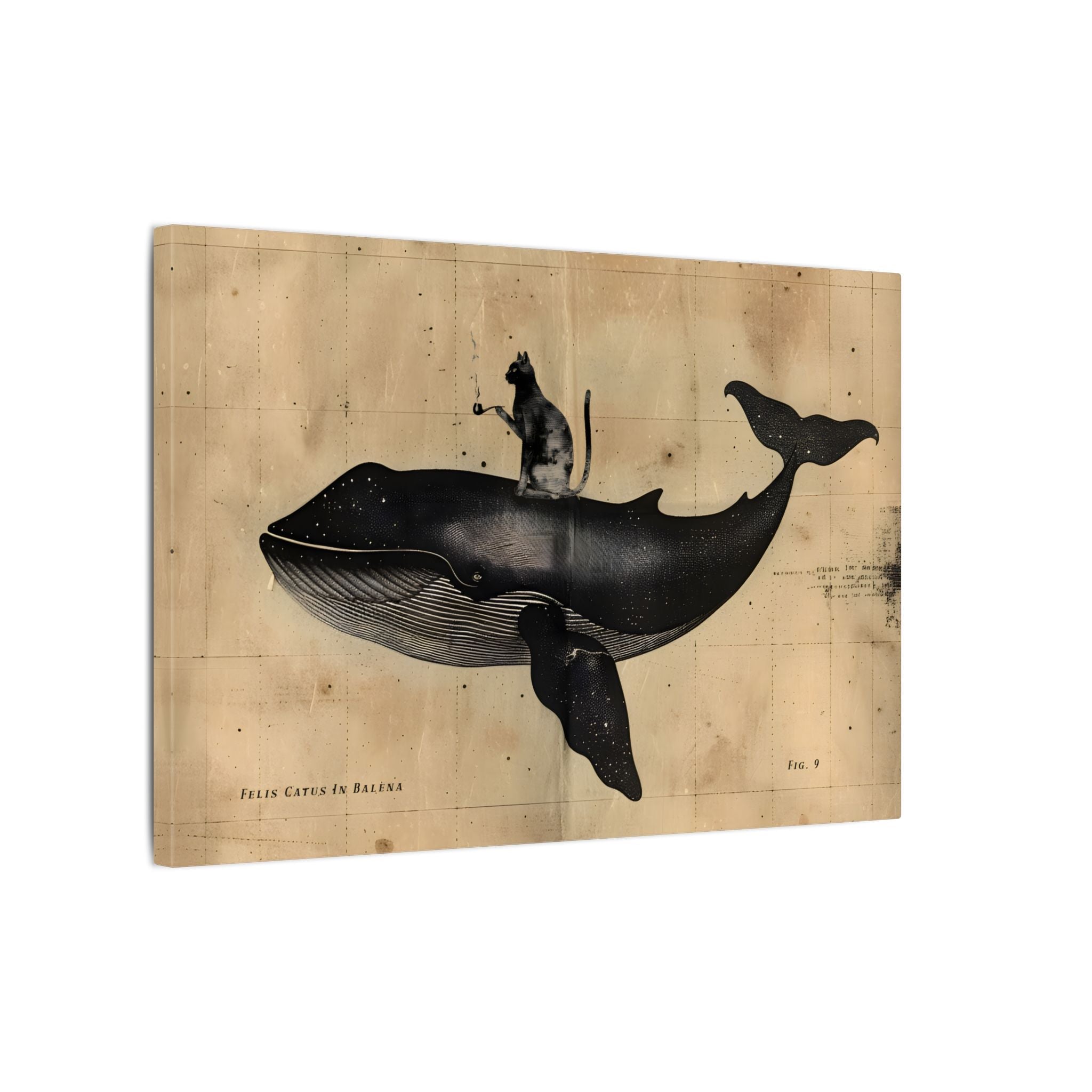 .75" Matte Canvas - Cat Rides Whale Theory