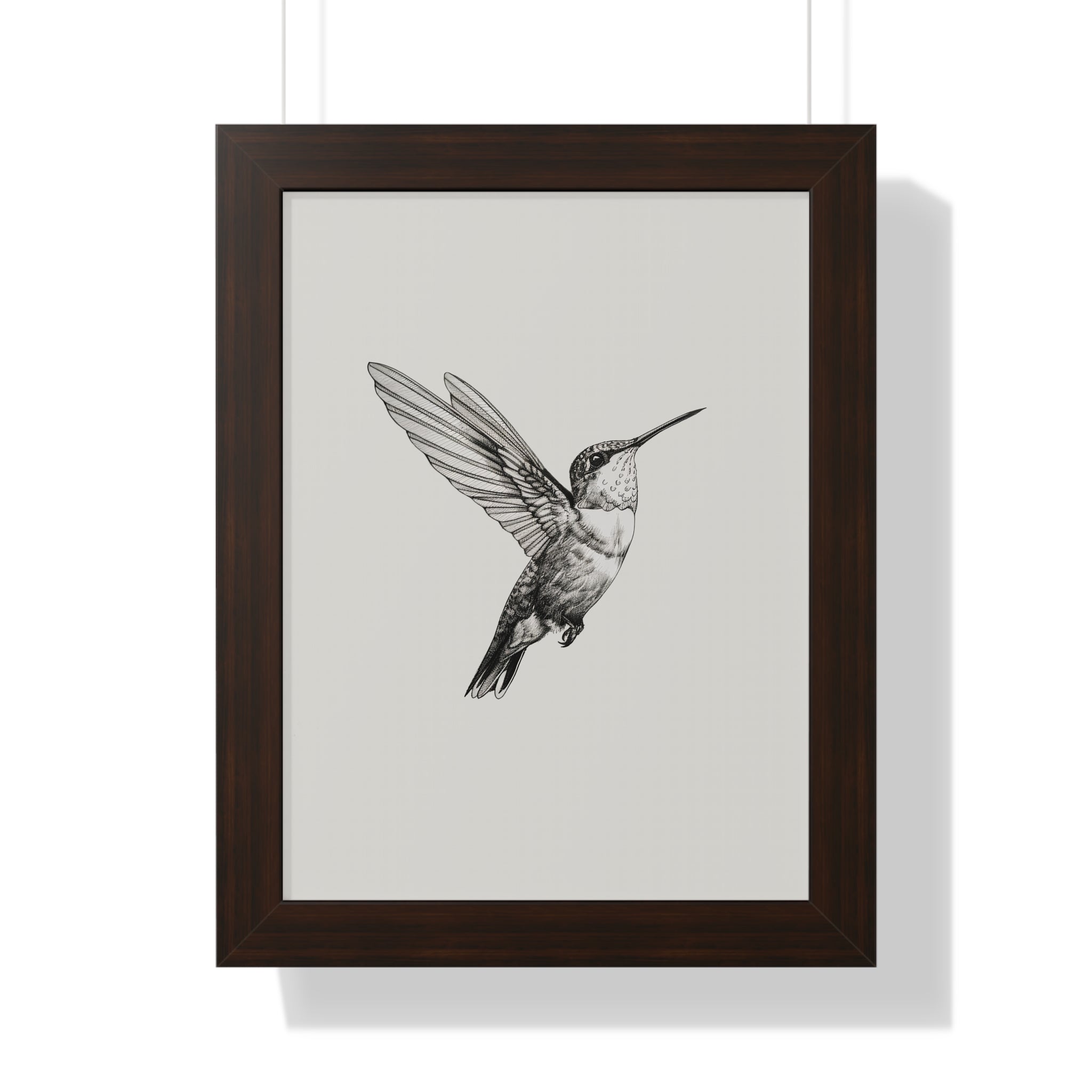 Framed Paper Print - Flying Hummingbird Line Study