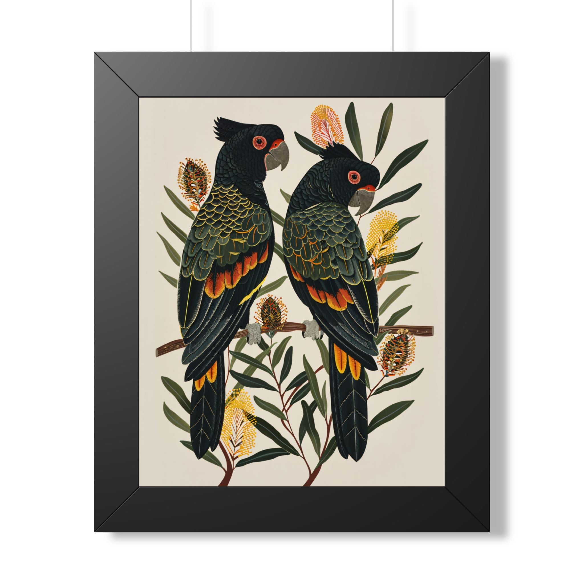 Framed Paper Print - Black Cockatoos Among Banksia