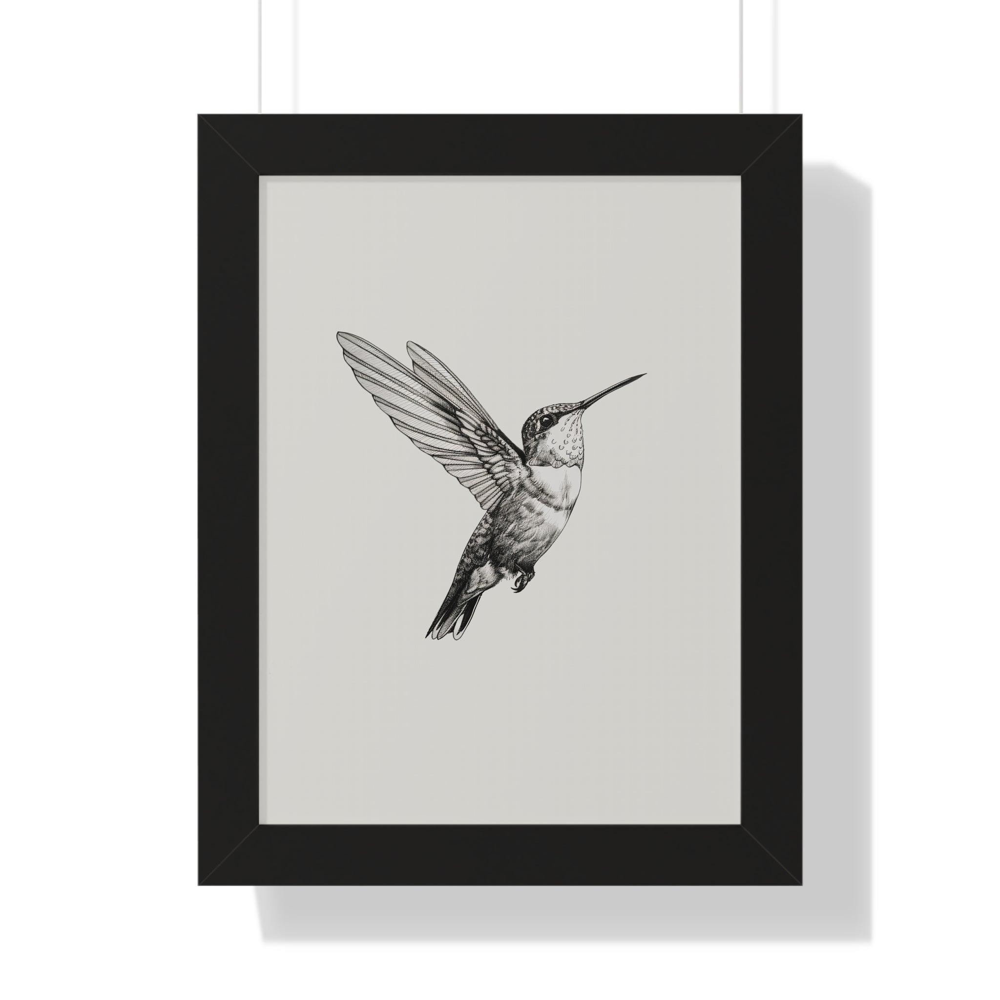 Framed Paper Print - Flying Hummingbird Line Study