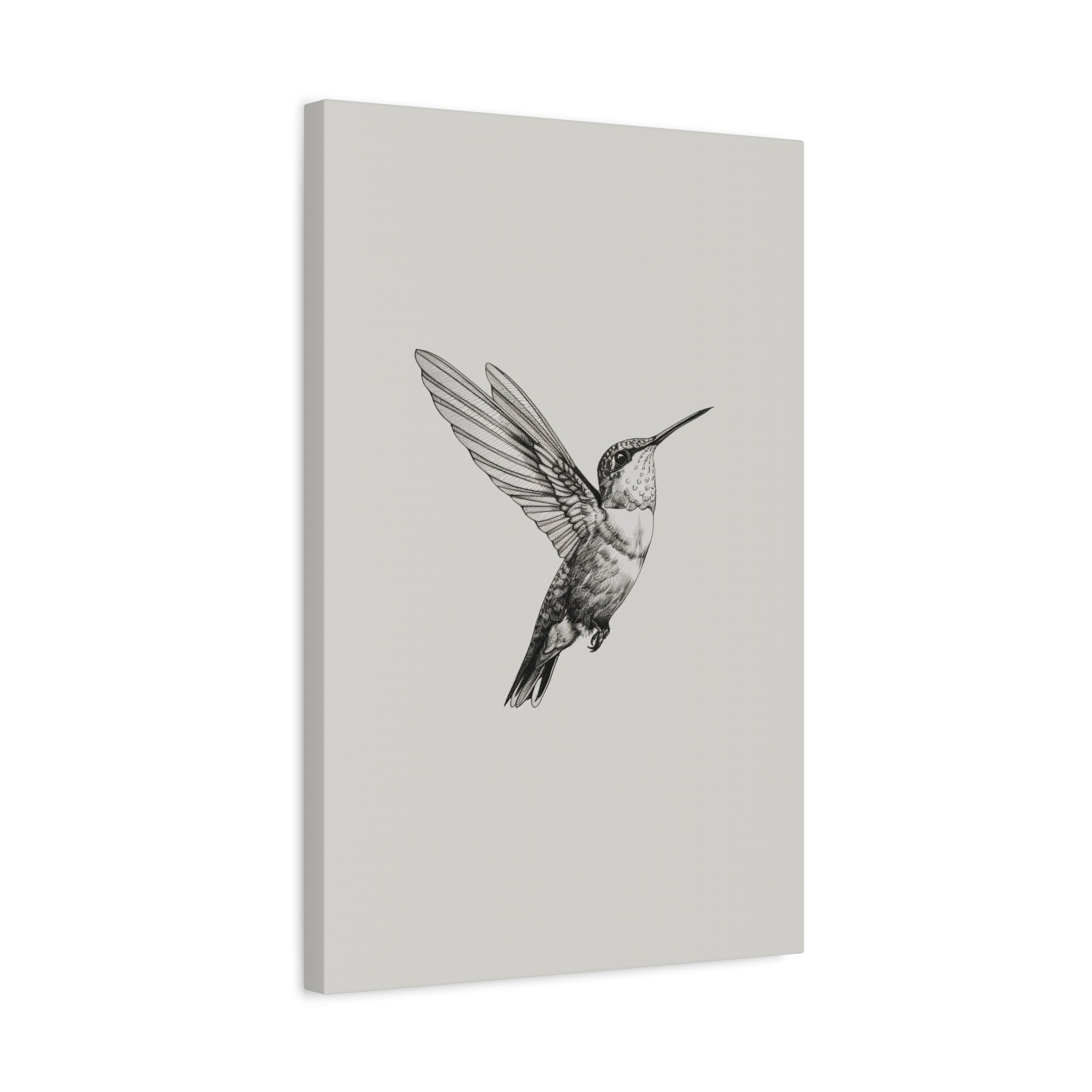 1.25" Matte Canvas - Flying Hummingbird Line Study