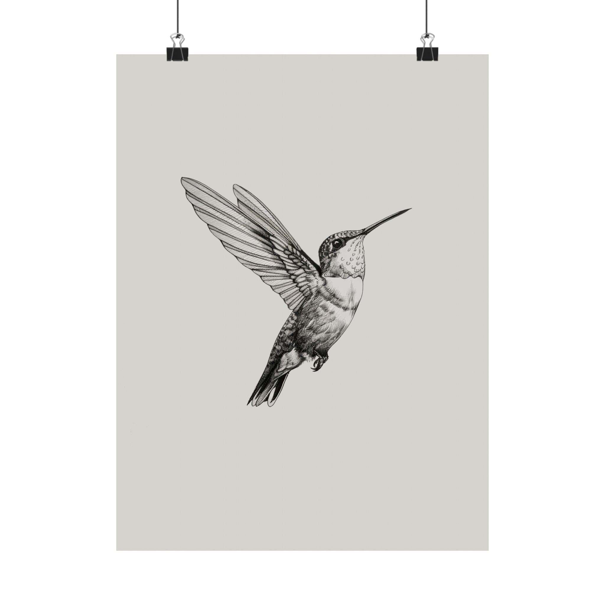Flying Hummingbird Line Study