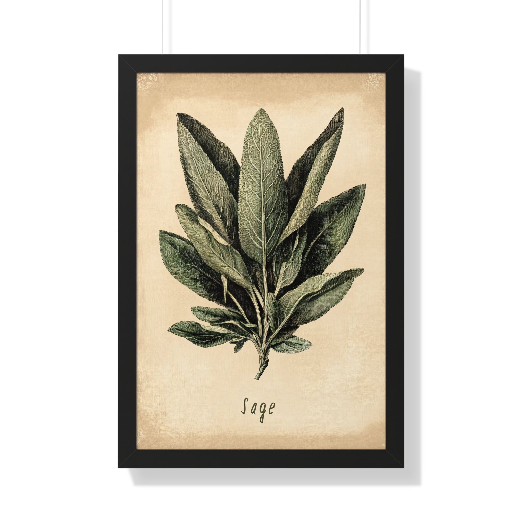 Framed Paper Print - Botanical Sage Study