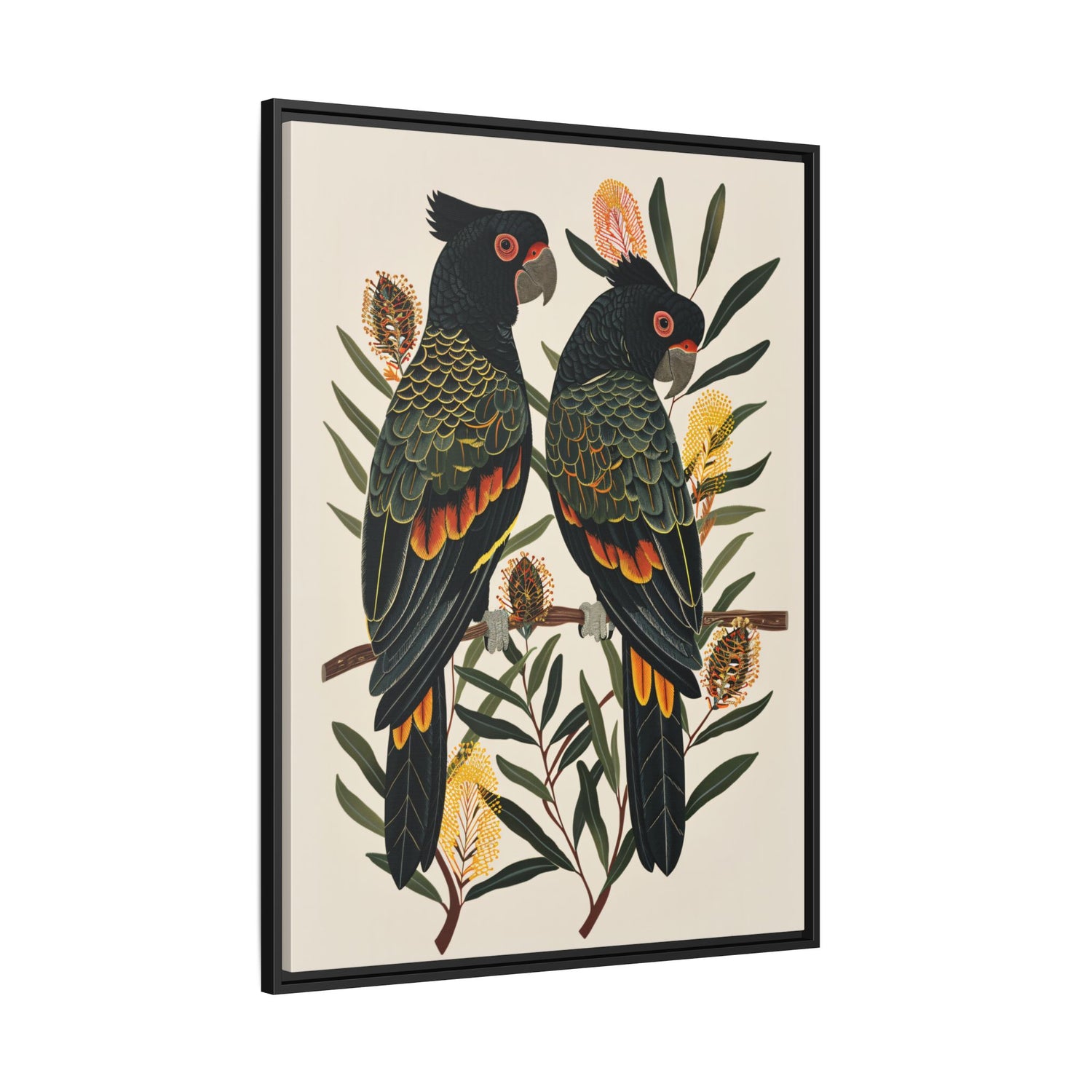 Framed Canvas - Black Cockatoos Among Banksia