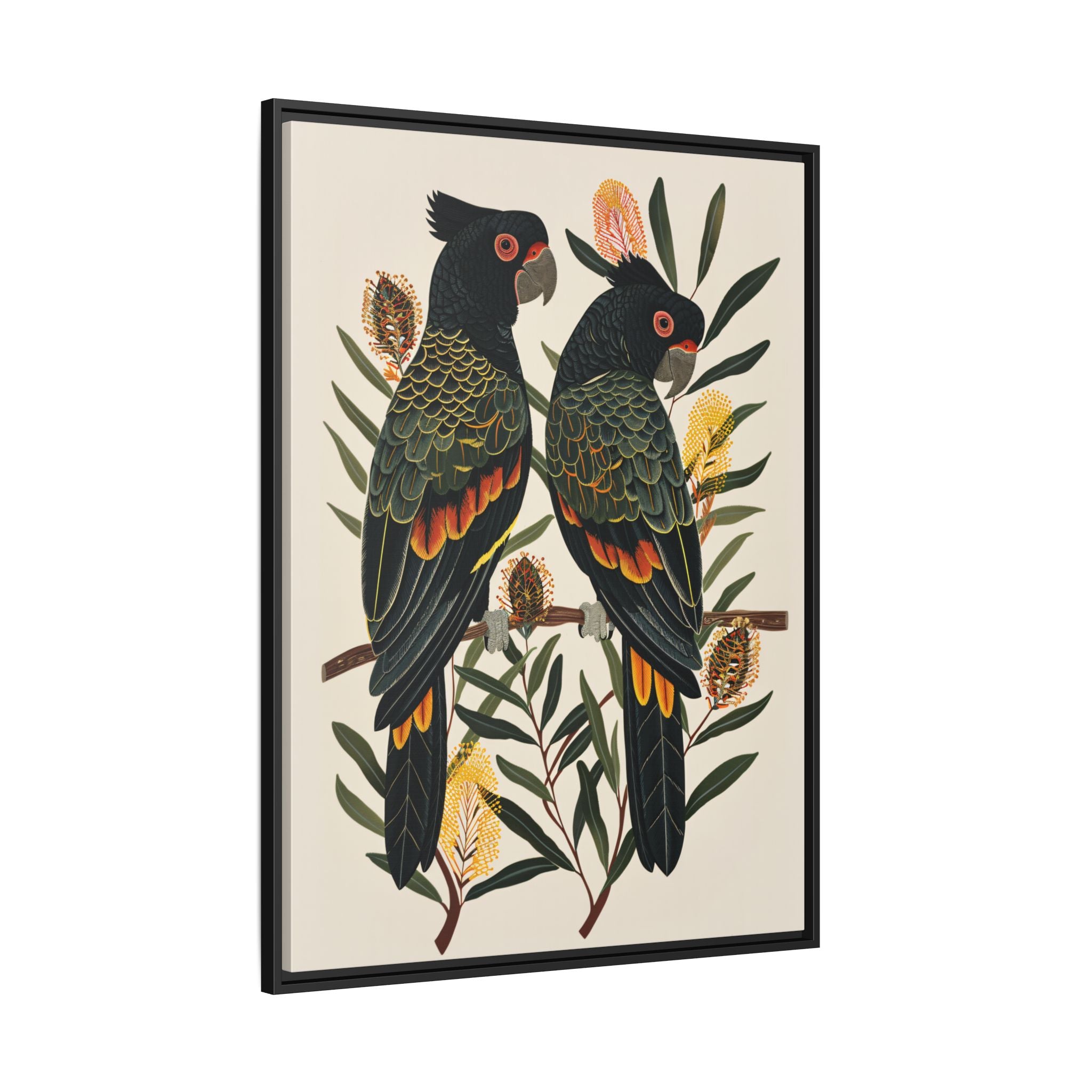 Framed Canvas - Black Cockatoos Among Banksia