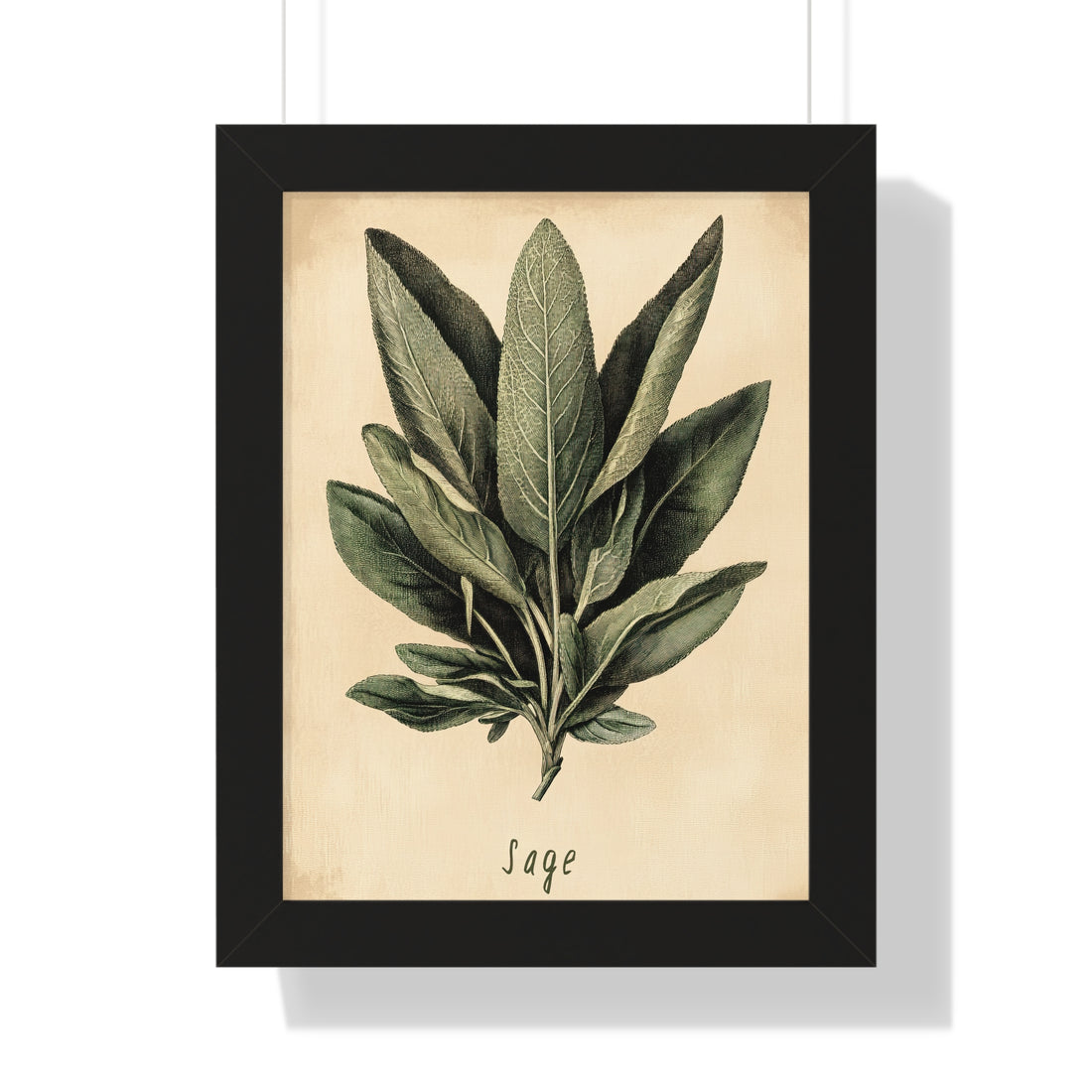 Framed Paper Print - Botanical Sage Study
