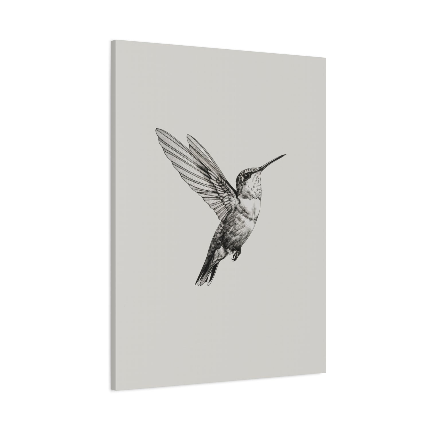 1.25" Matte Canvas - Flying Hummingbird Line Study
