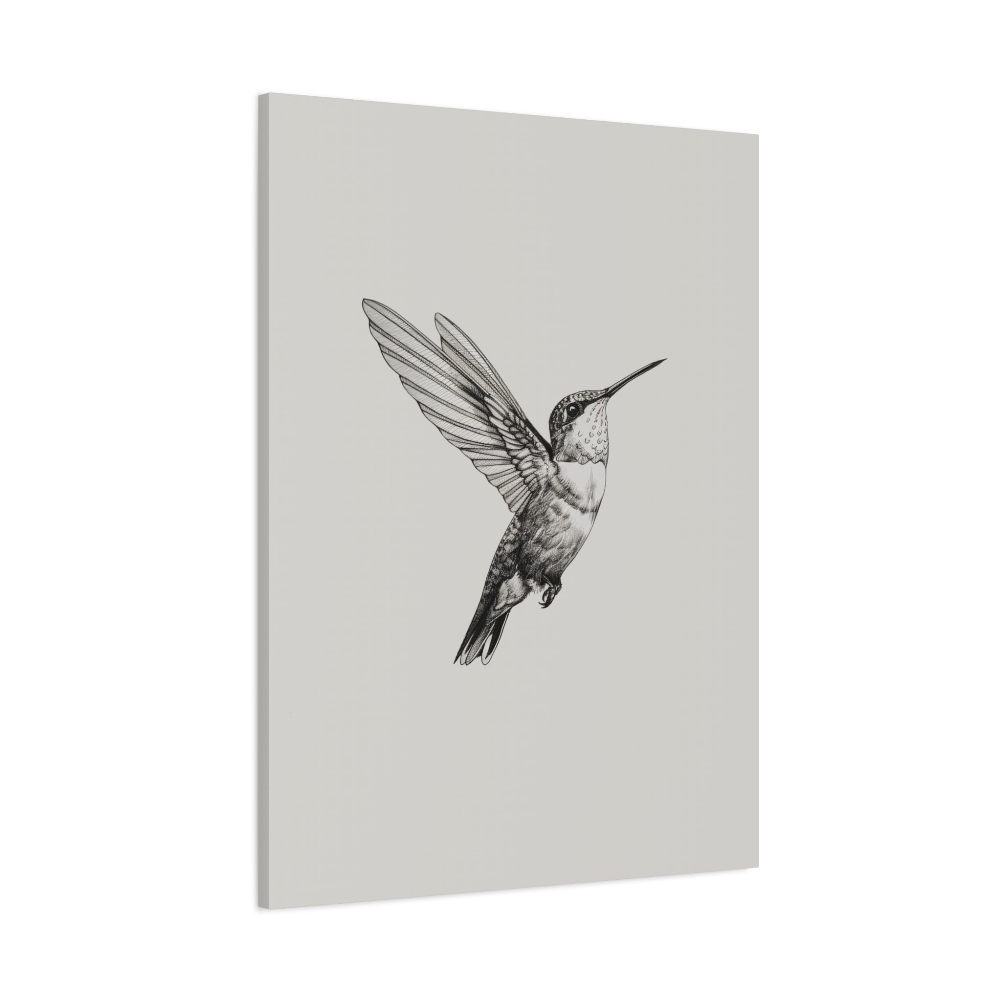 1.25" Matte Canvas - Flying Hummingbird Line Study