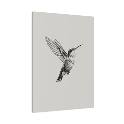1.25" Matte Canvas - Flying Hummingbird Line Study