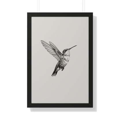 Framed Paper Print - Flying Hummingbird Line Study