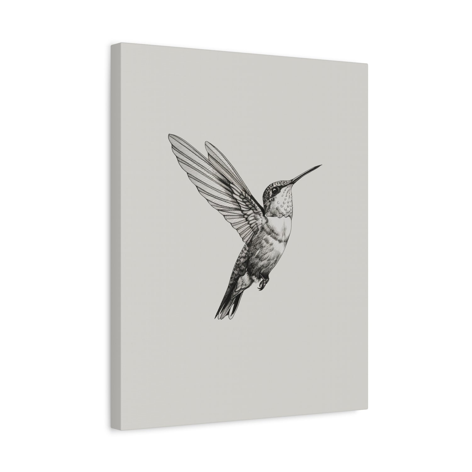 1.25" Matte Canvas - Flying Hummingbird Line Study