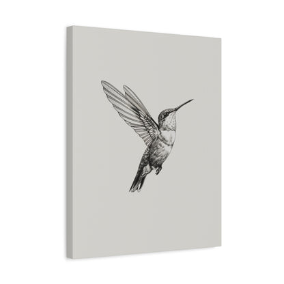 1.25" Matte Canvas - Flying Hummingbird Line Study