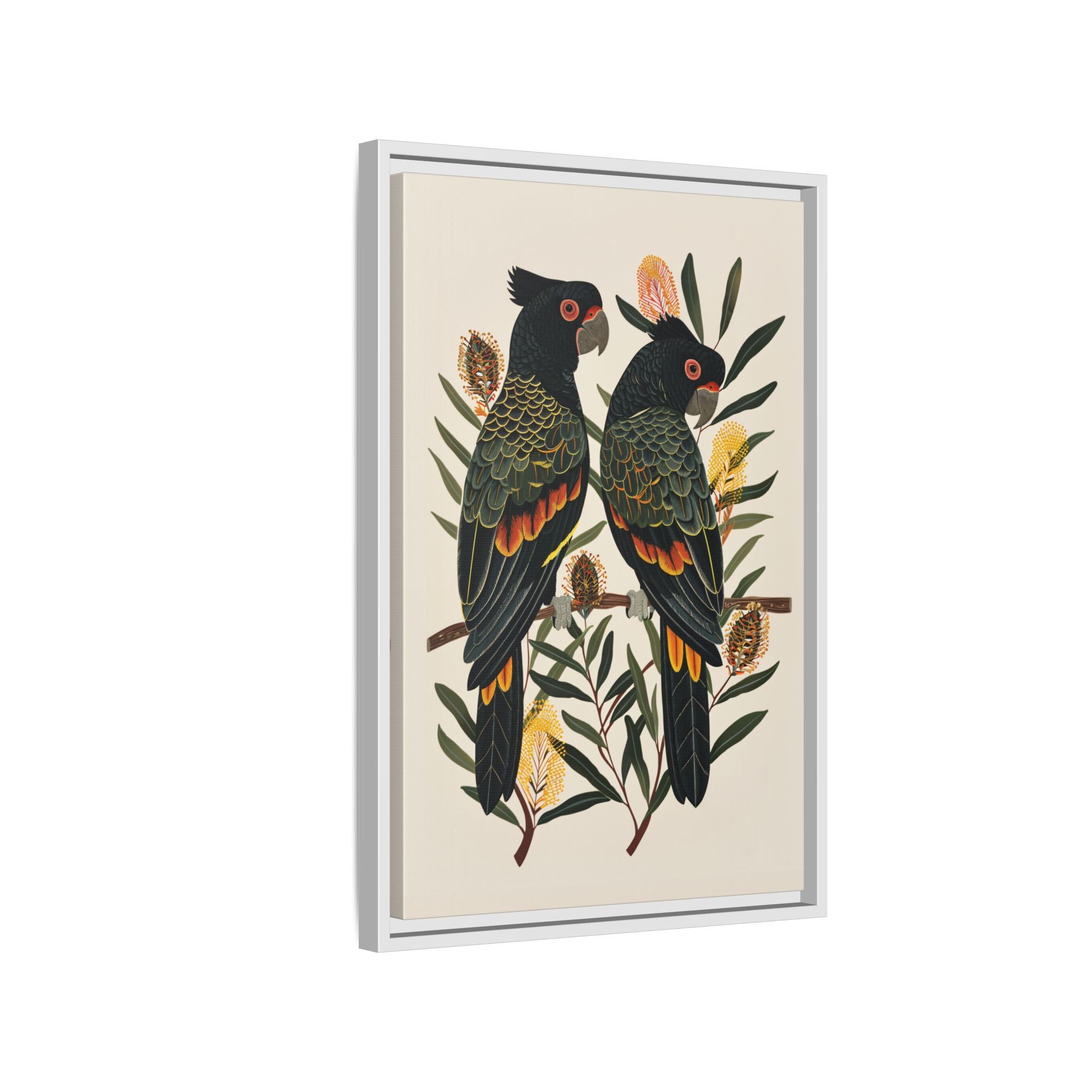 Framed Canvas - Black Cockatoos Among Banksia