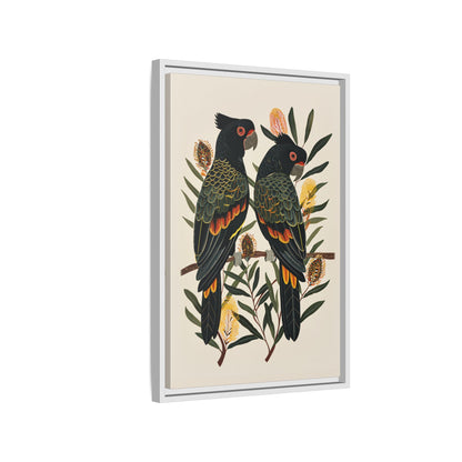 Framed Canvas - Black Cockatoos Among Banksia