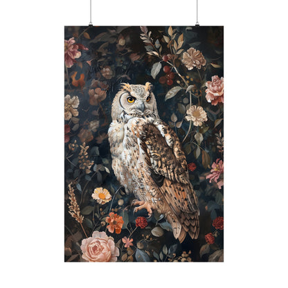 Owl&