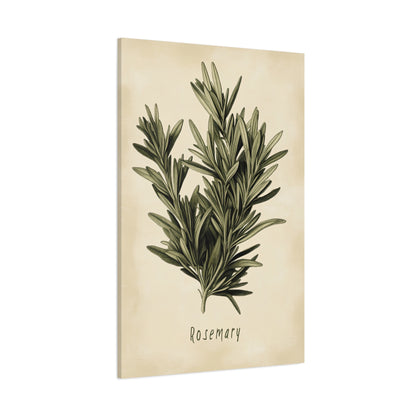 1.25" Matte Canvas - Botanical Rosemary Study