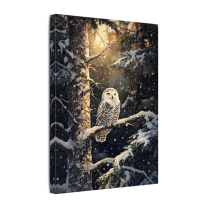 .75" Matte Canvas - Silent Gaze Snow Owl