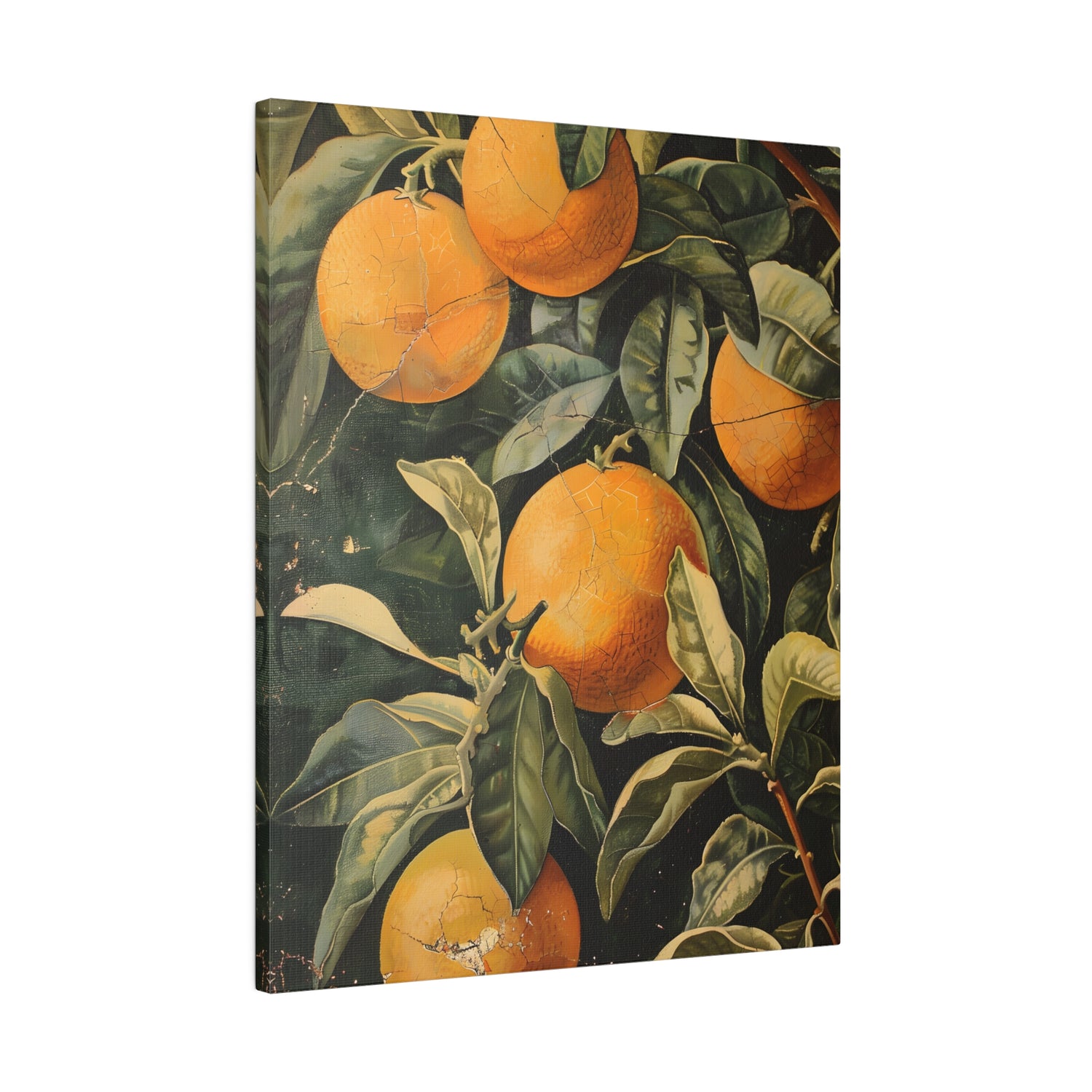 .75&quot; Matte Canvas - Citrus Grove Splendor