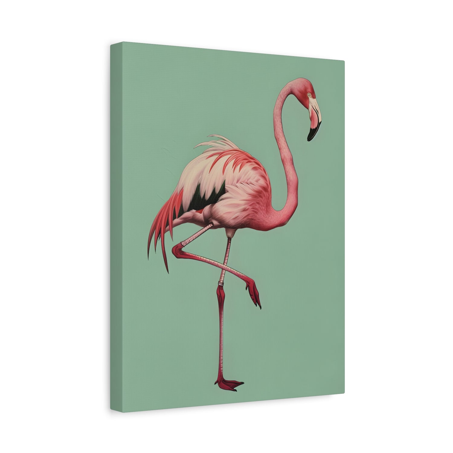 1.25" Matte Canvas - Pink Flamingo Tropical