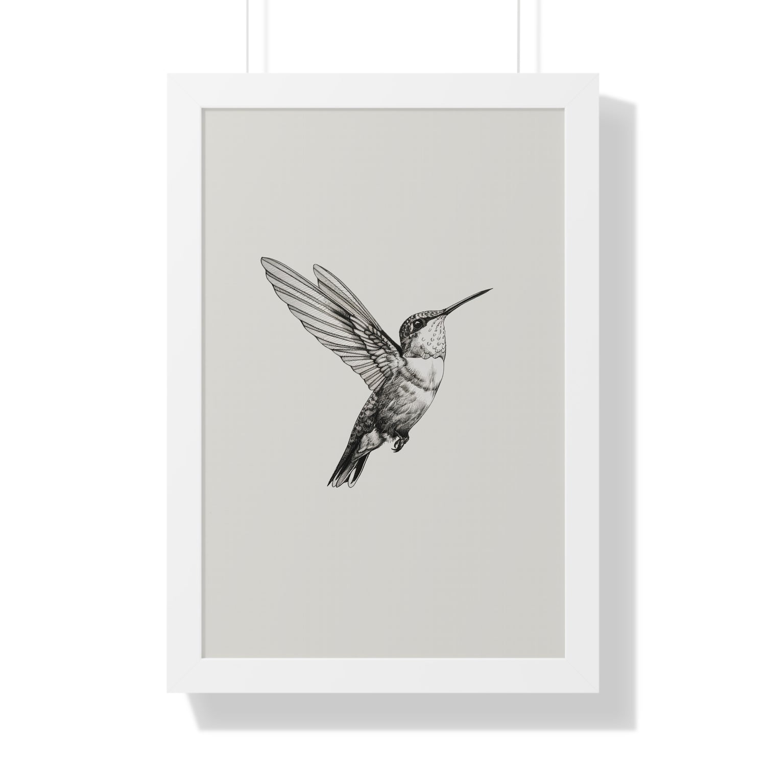 Framed Paper Print - Flying Hummingbird Line Study