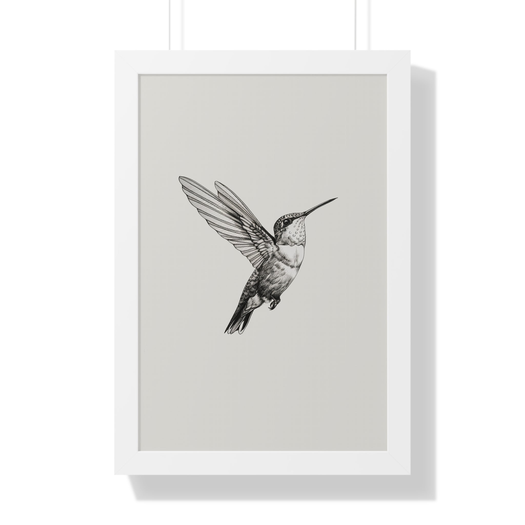 Framed Paper Print - Flying Hummingbird Line Study