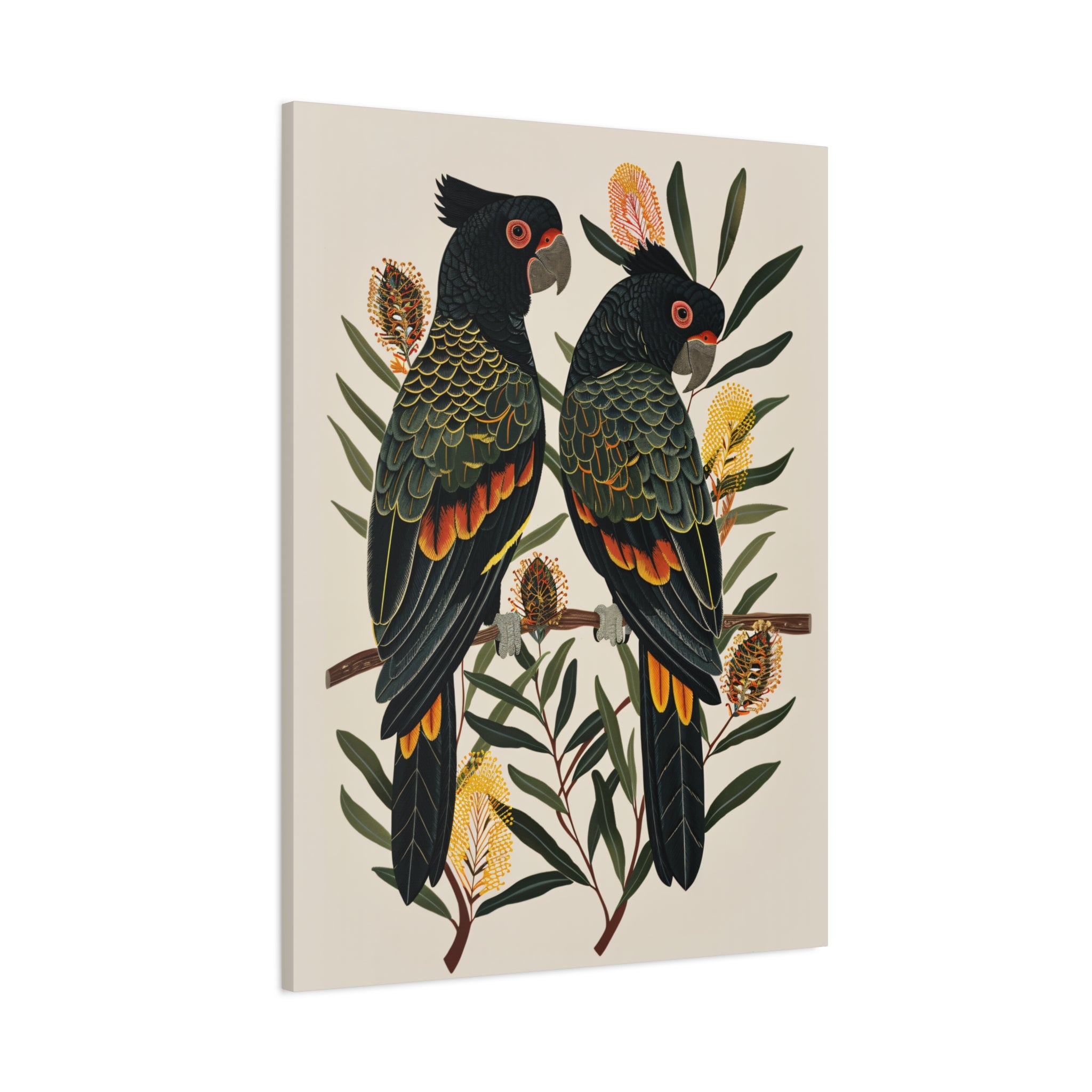1.25" Matte Canvas - Black Cockatoos Among Banksia