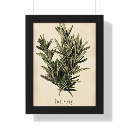 Framed Paper Print - Botanical Rosemary Study
