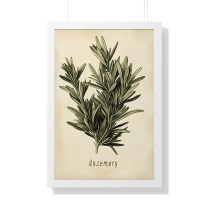 Framed Paper Print - Botanical Rosemary Study