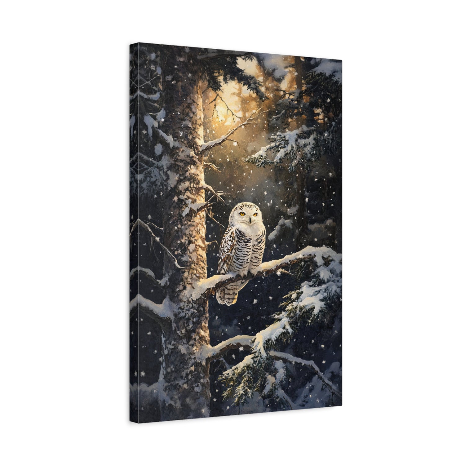 1.25" Matte Canvas - Silent Gaze Snow Owl