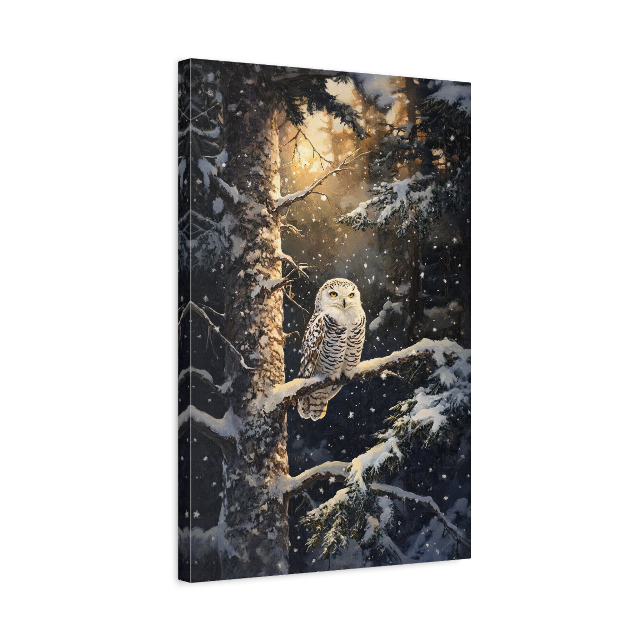 1.25" Matte Canvas - Silent Gaze Snow Owl